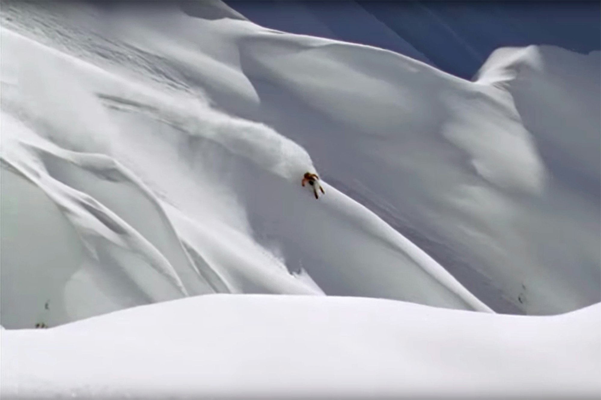 Relive some of Hoji's best moments in new MSP trailer