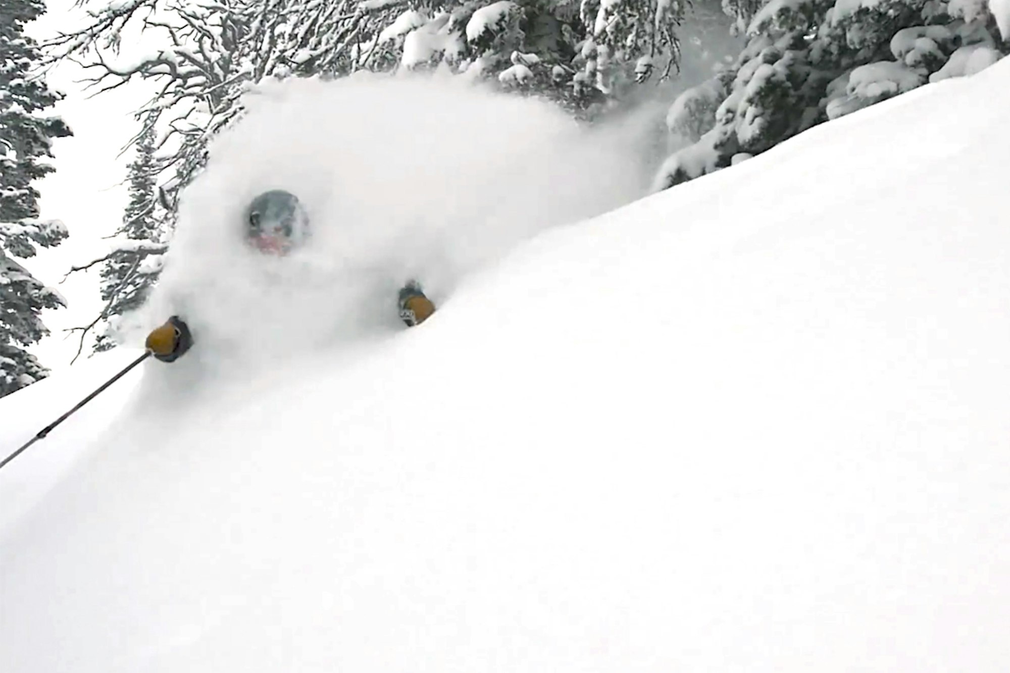These Montana boys found all the powder