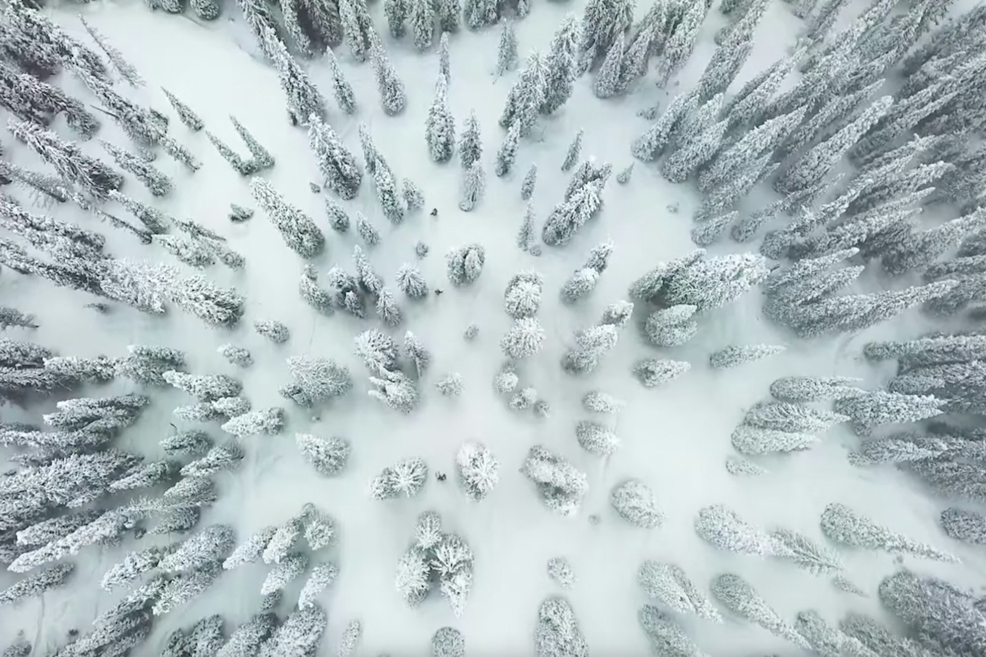 Scandinavian shredders Kajsa Larsson and Malou Petersen take BC by storm