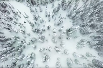 Scandinavian shredders Kajsa Larsson and Malou Petersen take BC by storm