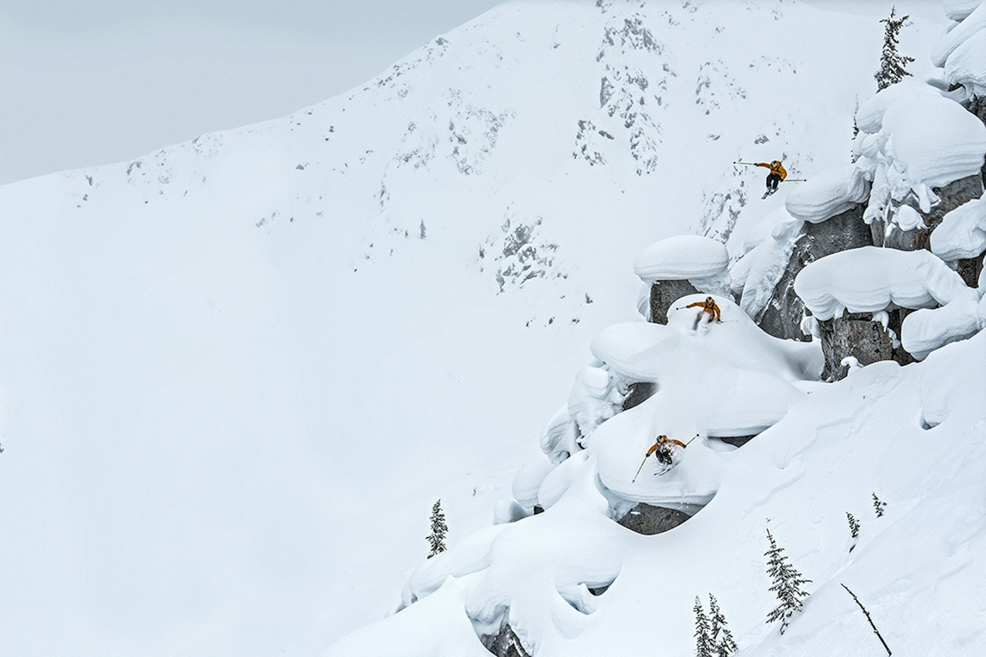 The Crustodian in the Meadow