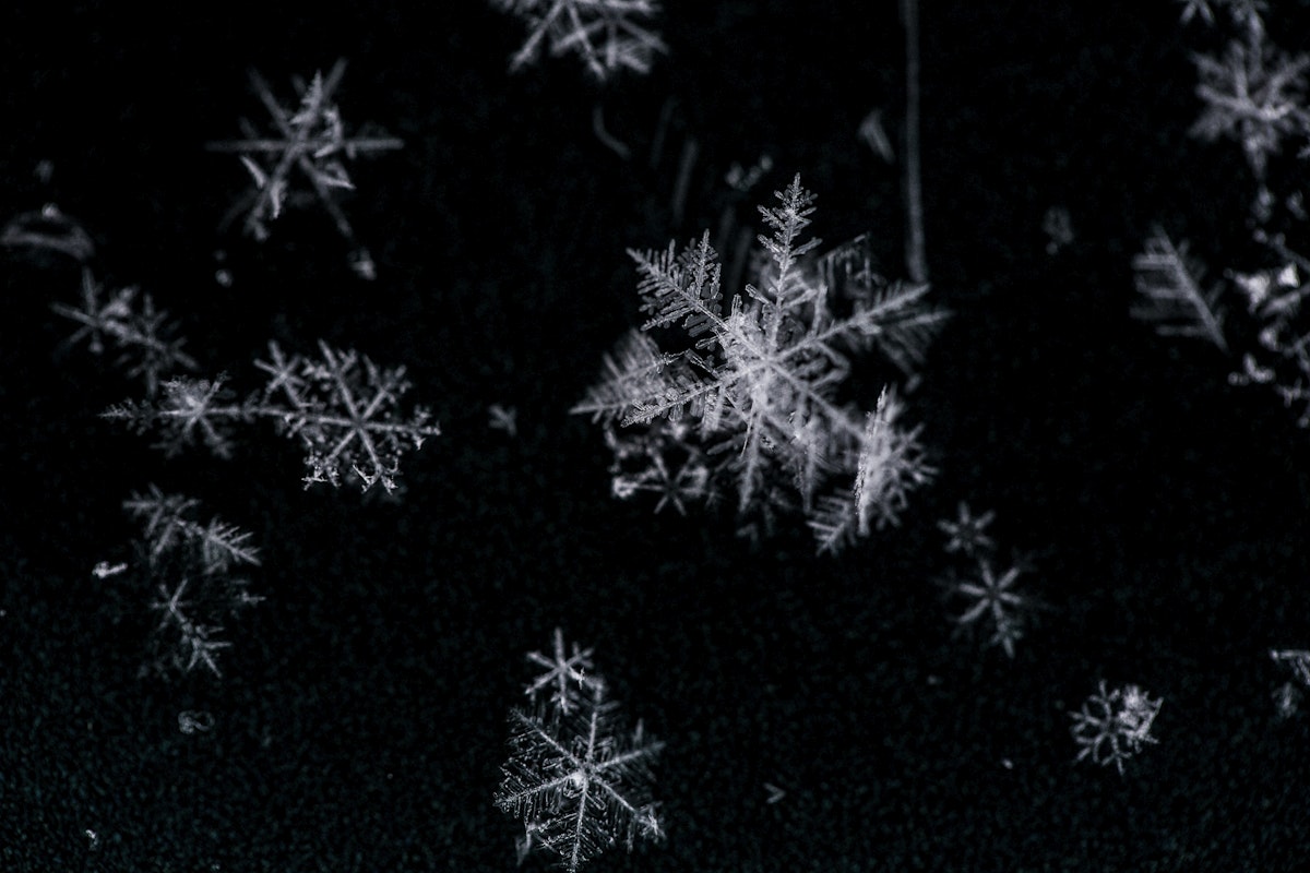 The Green Elephant in the Room