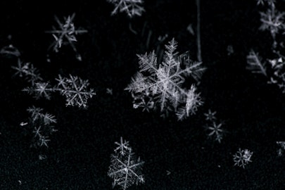 The Green Elephant in the Room