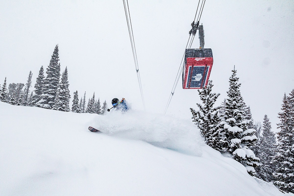 The Season That Never Stopped Giving