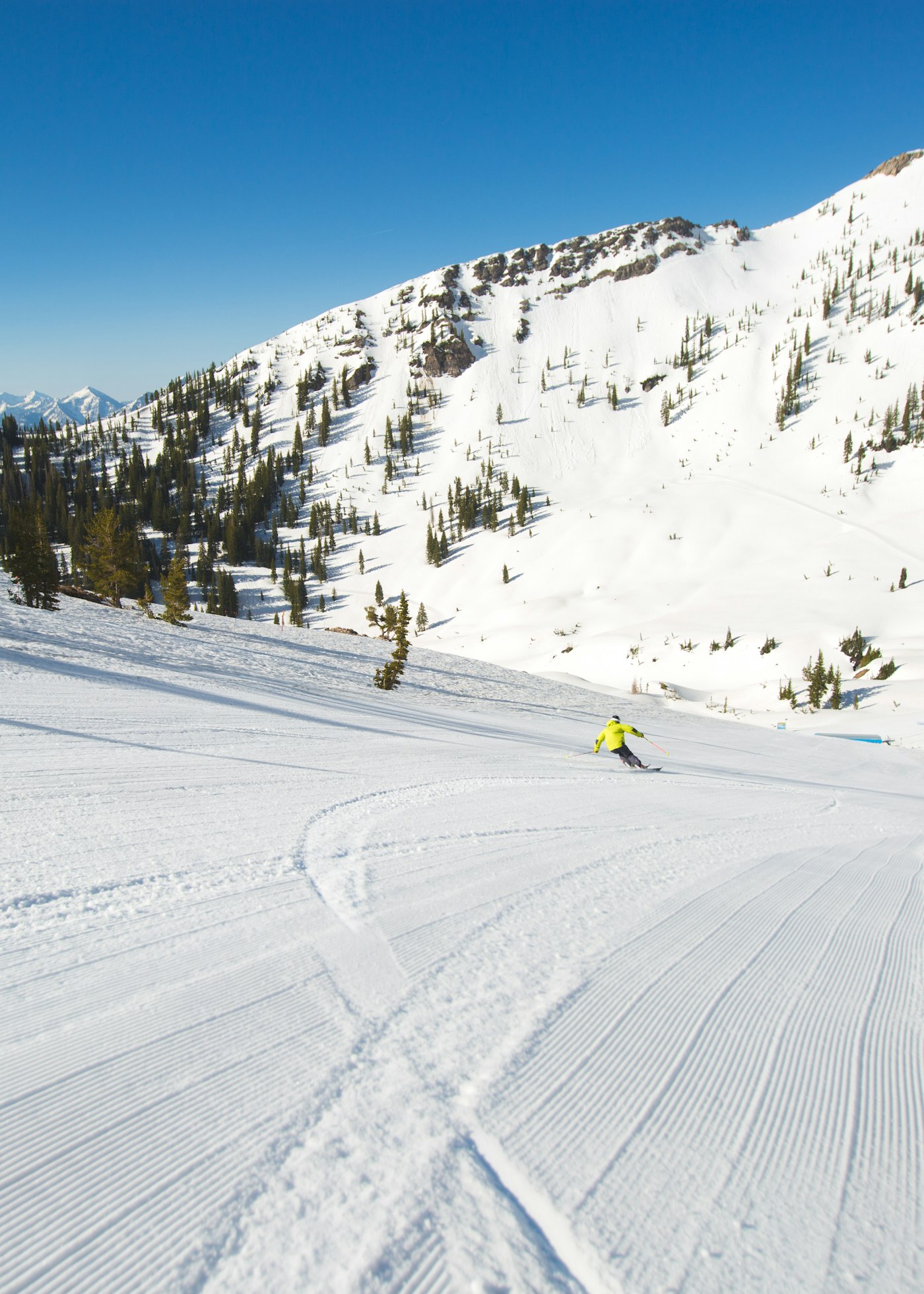 Marcus Caston carves turns at Snowbird, Utah.