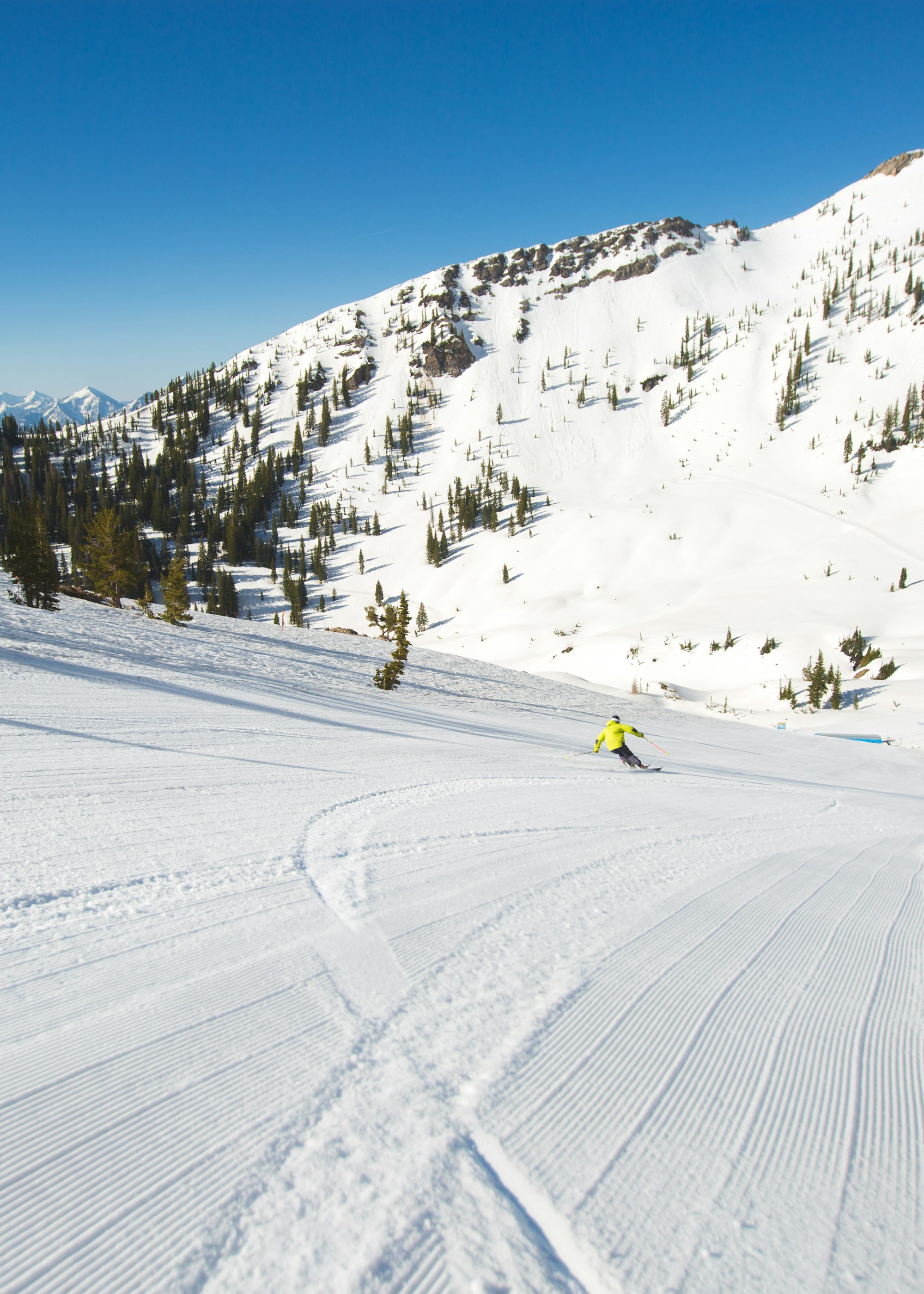 Marcus Caston carves turns at Snowbird, Utah.