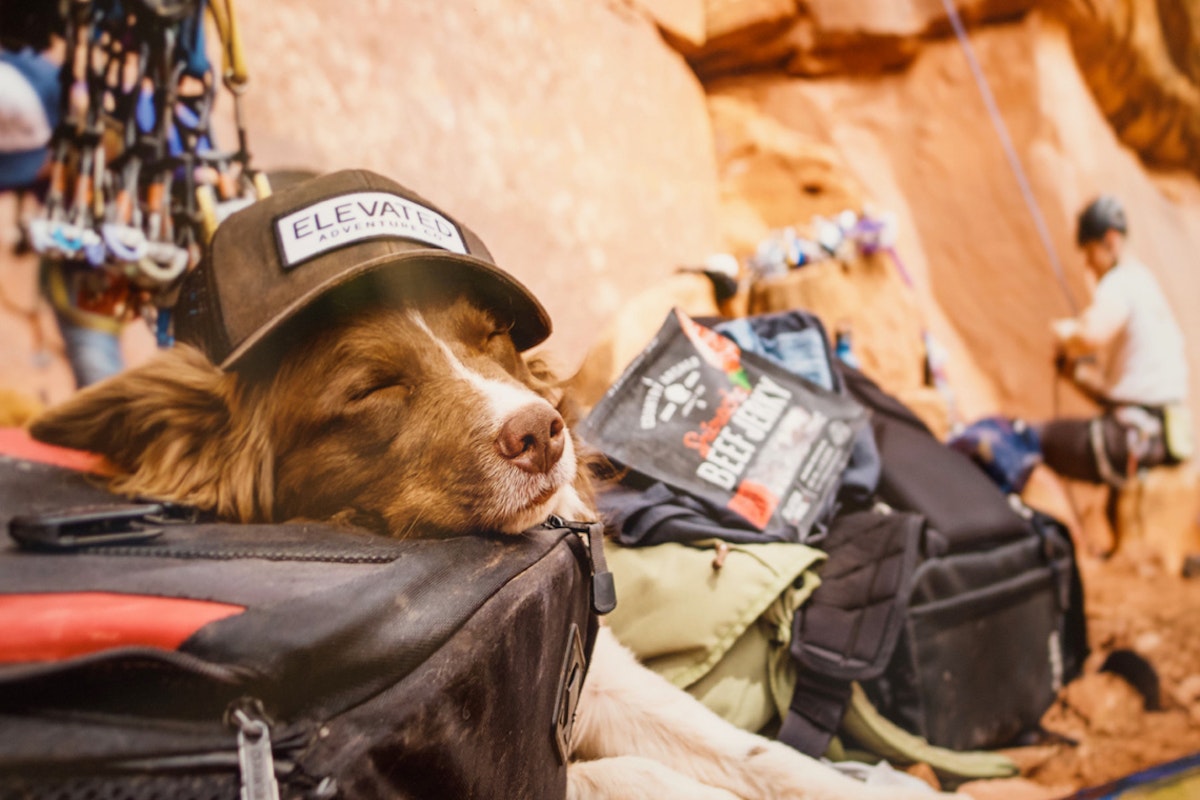 Photo Shootout: Summer Edition Gallery Party Recap