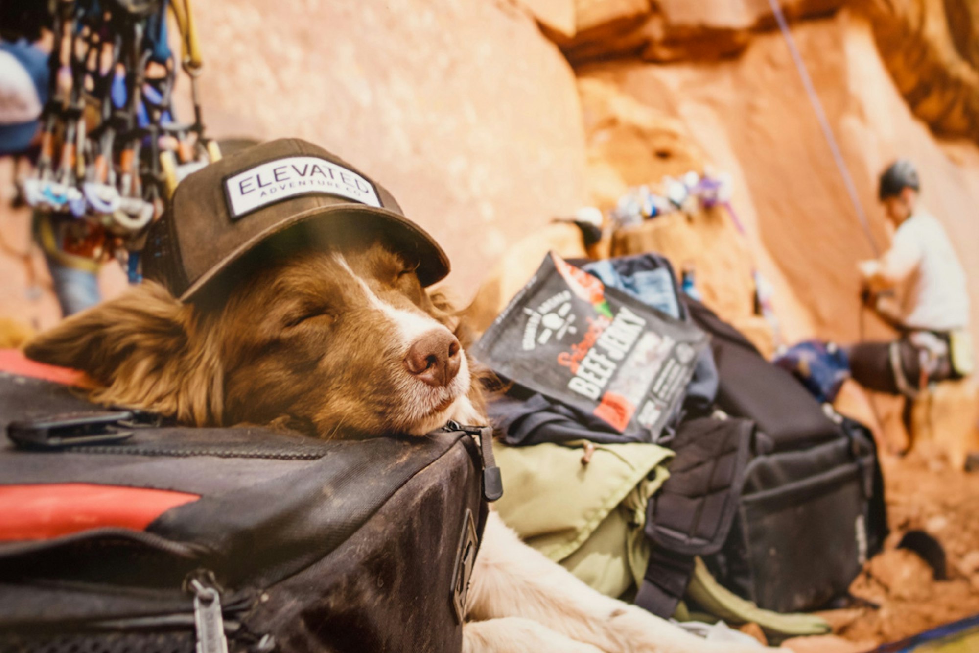 Photo Shootout: Summer Edition Gallery Party Recap