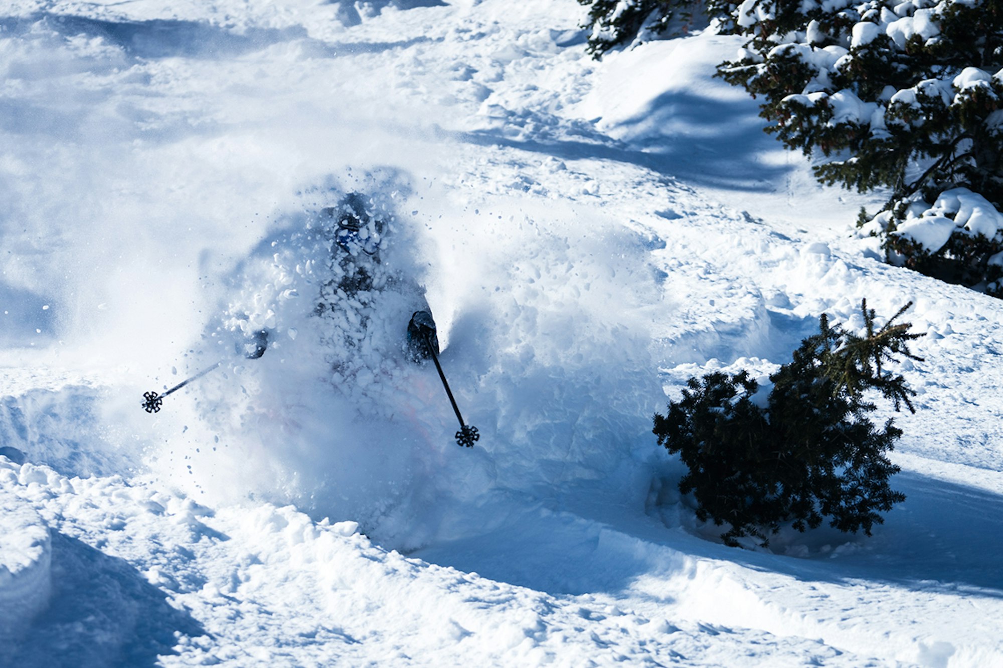 The 18 best 100-113 mm freeride skis of 2017-2018