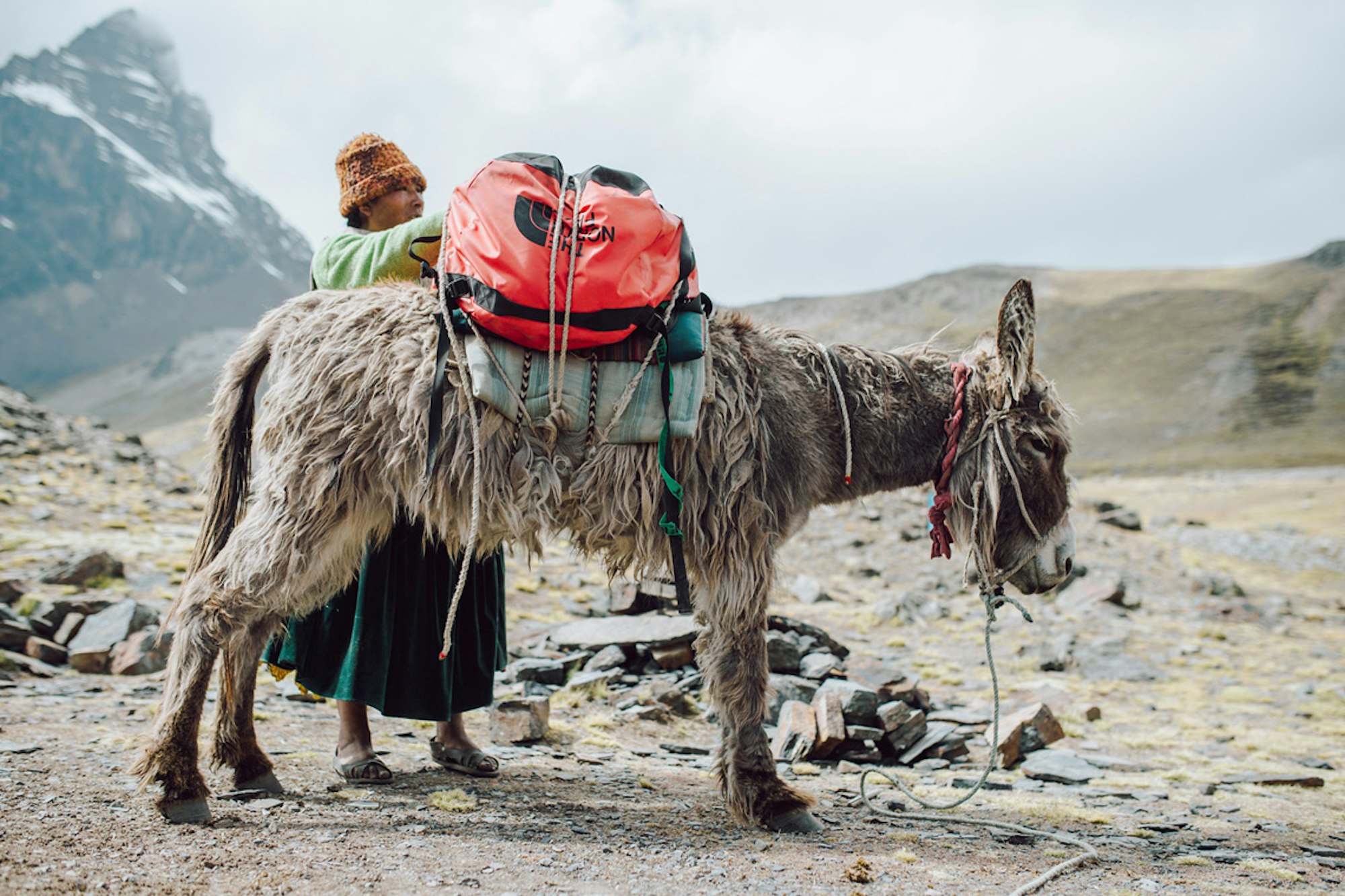 Editor's Review: The North Face Base Camp Duffel