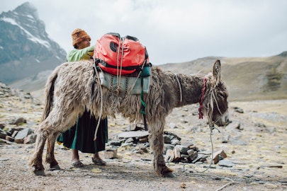 Editor's Review: The North Face Base Camp Duffel