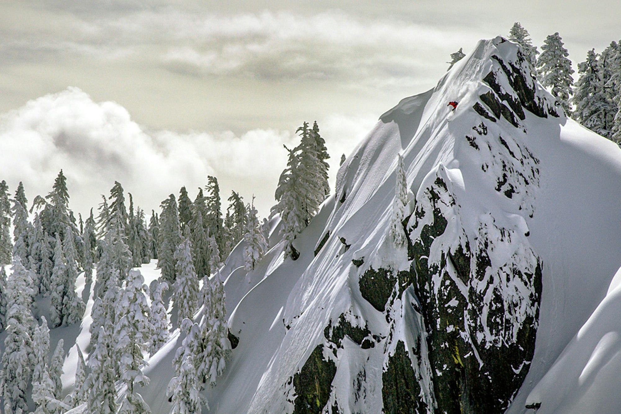 Watch Now: MSP releases first-look trailer for its 2017 film, "DROP EVERYTHING"