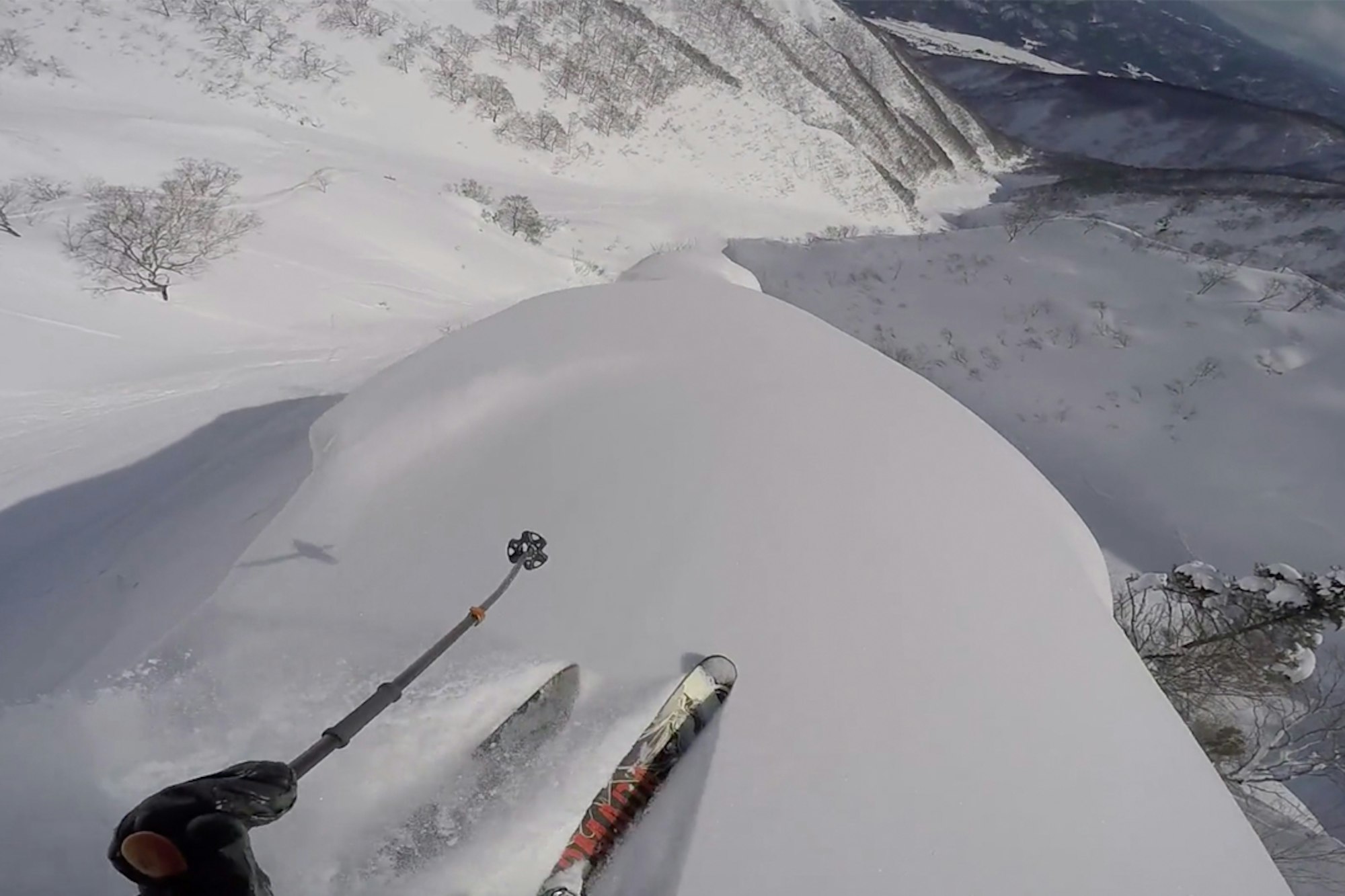 A season in the Land of the Rising Sun