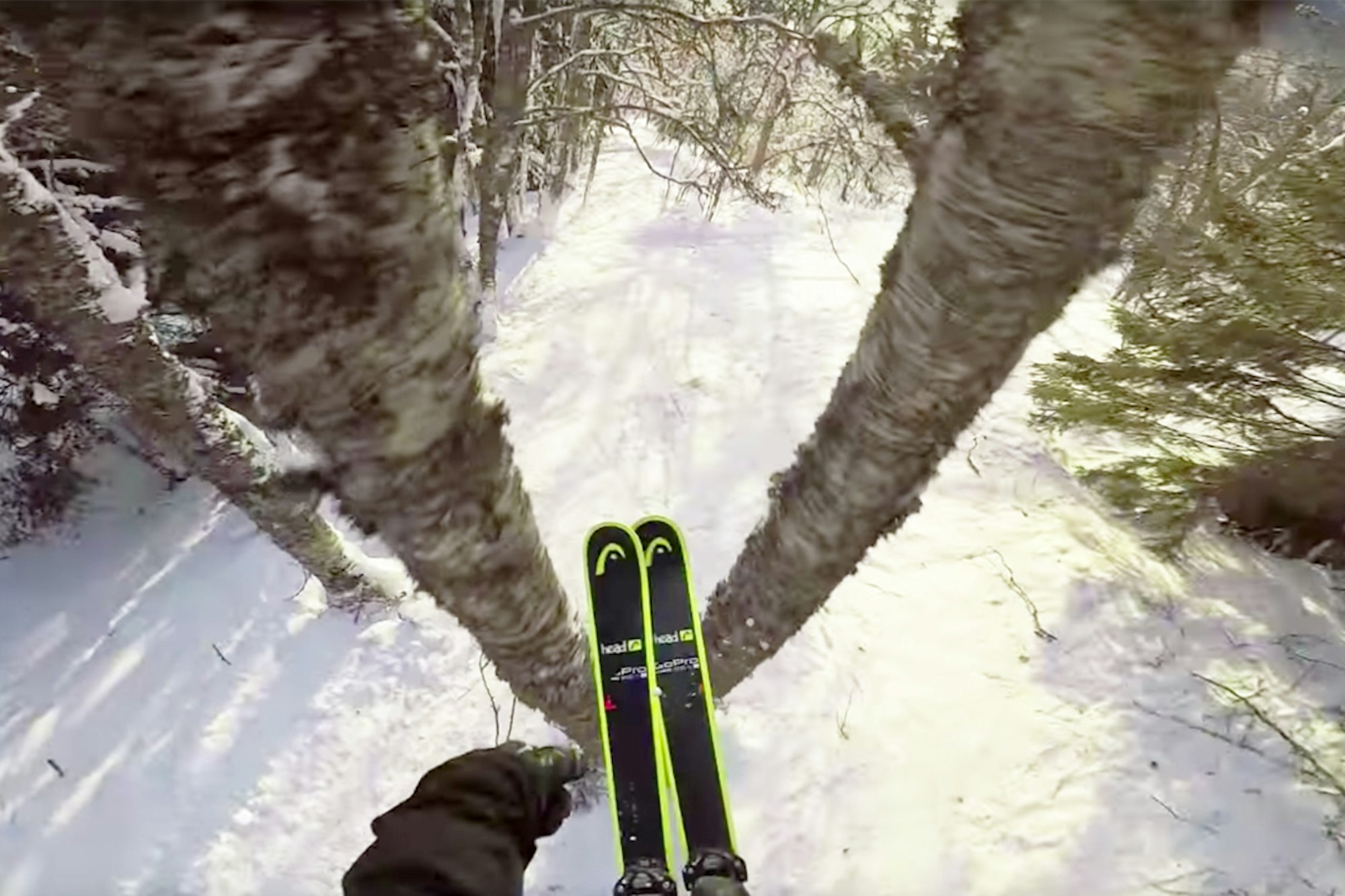 Jesper Tjäder's secret tree run in Åre, Sweden is the Narnia of skiing
