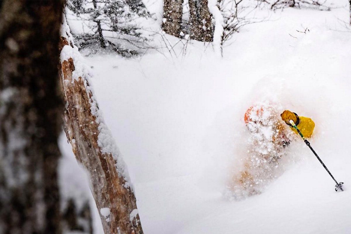 Winter Storm Stella just DUMPED snow on the East Coast