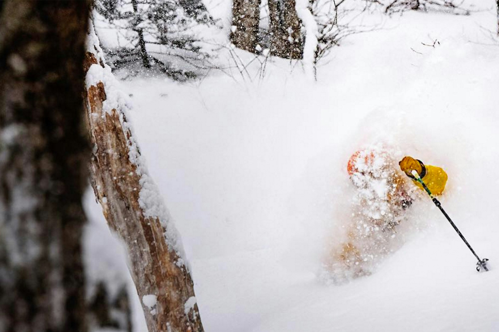 Winter Storm Stella just DUMPED snow on the East Coast