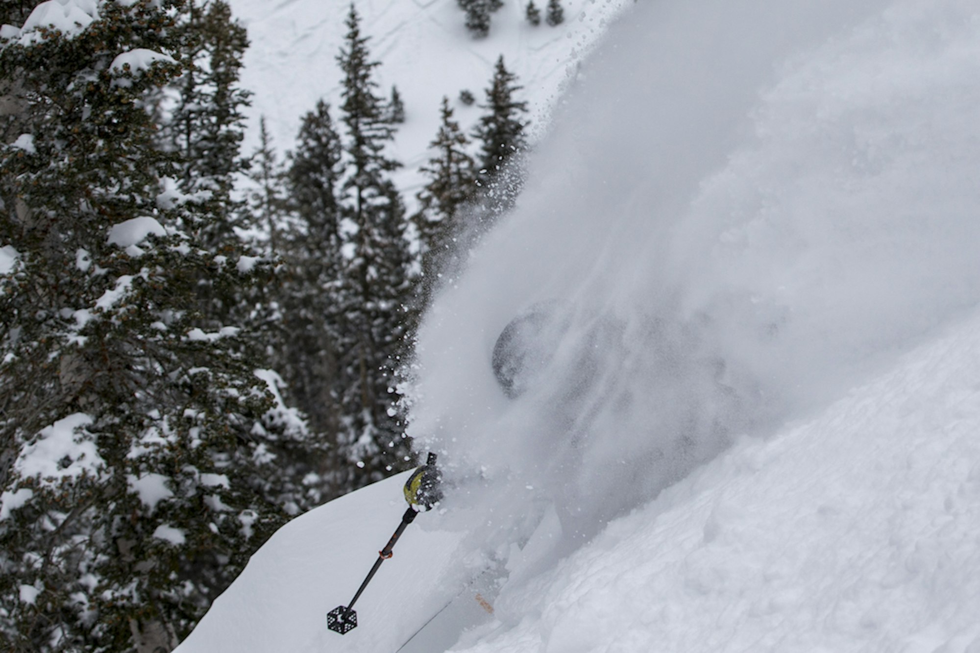 Next year's skis, ranked and reviewed; be among the first to see the highly-anticipated Ski Test results