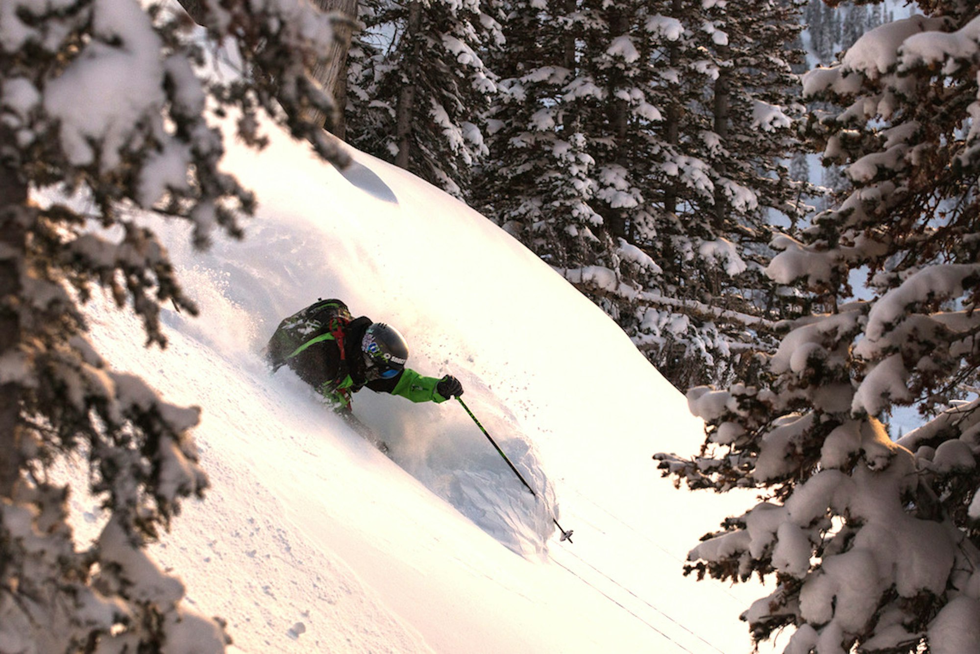 Results from our February Shred Rank contest; see who won Black Crows skis and a shot at a free heliskiing trip