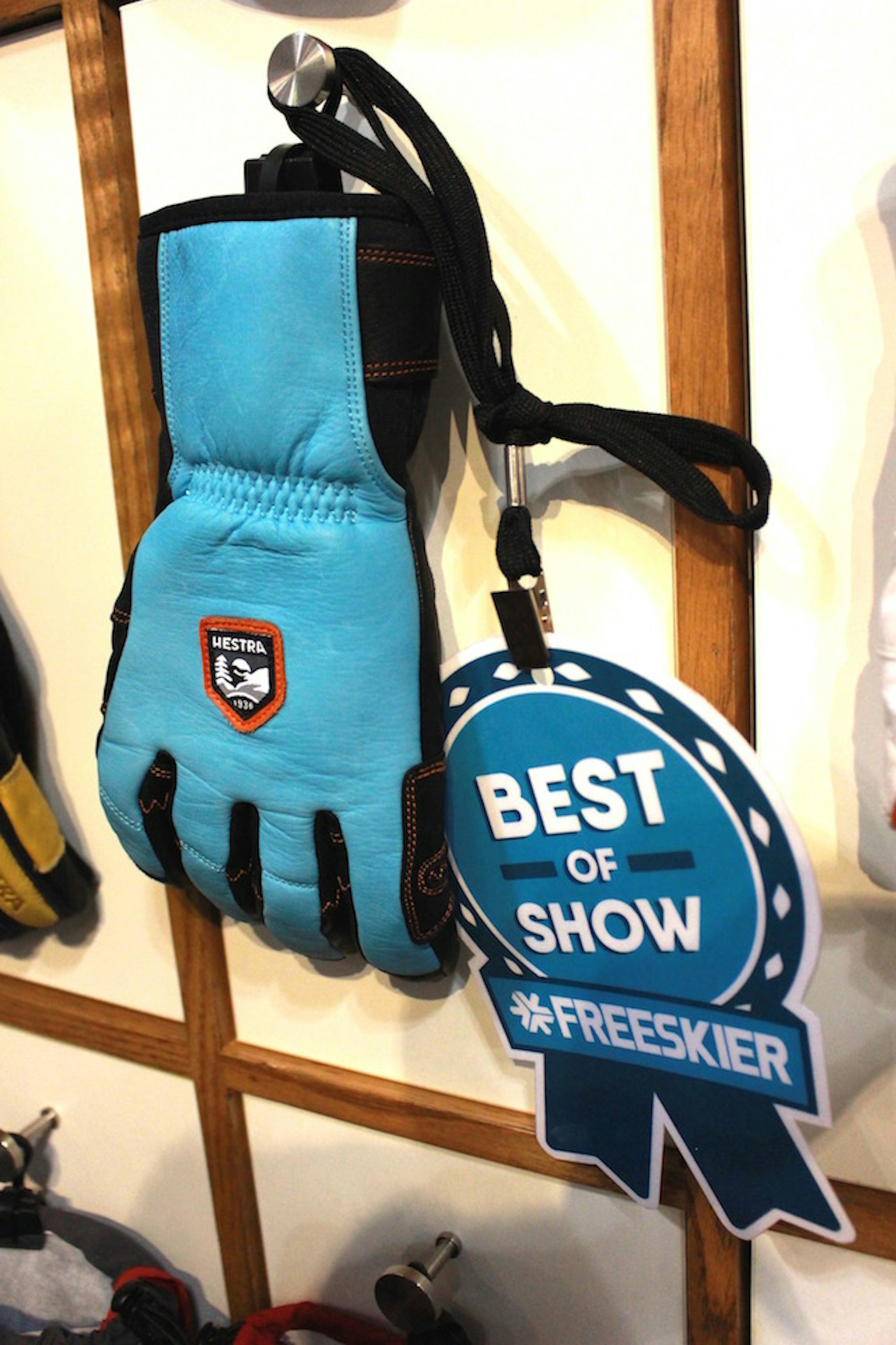 Hestra Ergo Grip Glove with a FREESKIER Best of Show Award