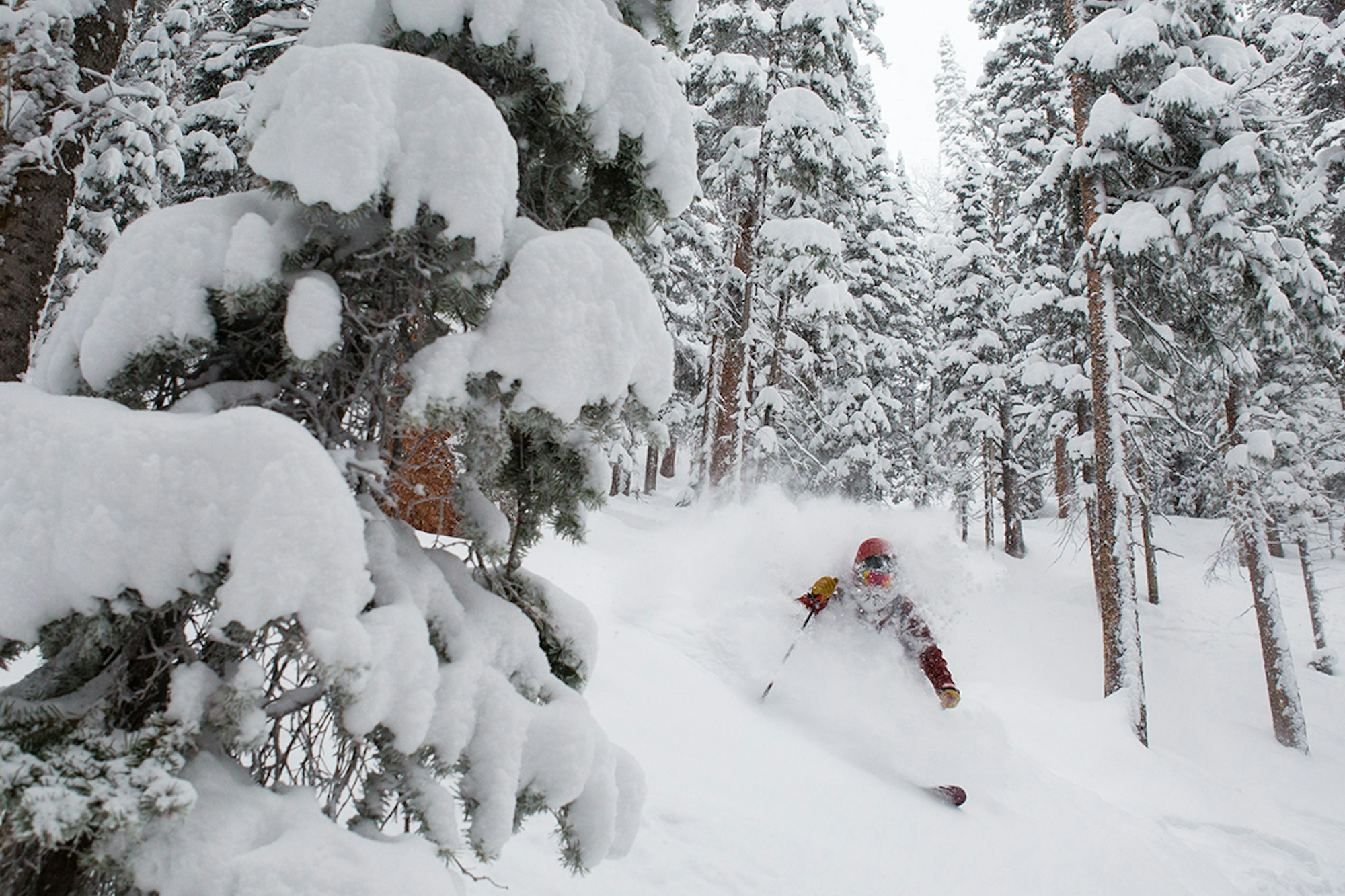 Aspen Highlands skier ducks rope, pens apology letter to ski patrol