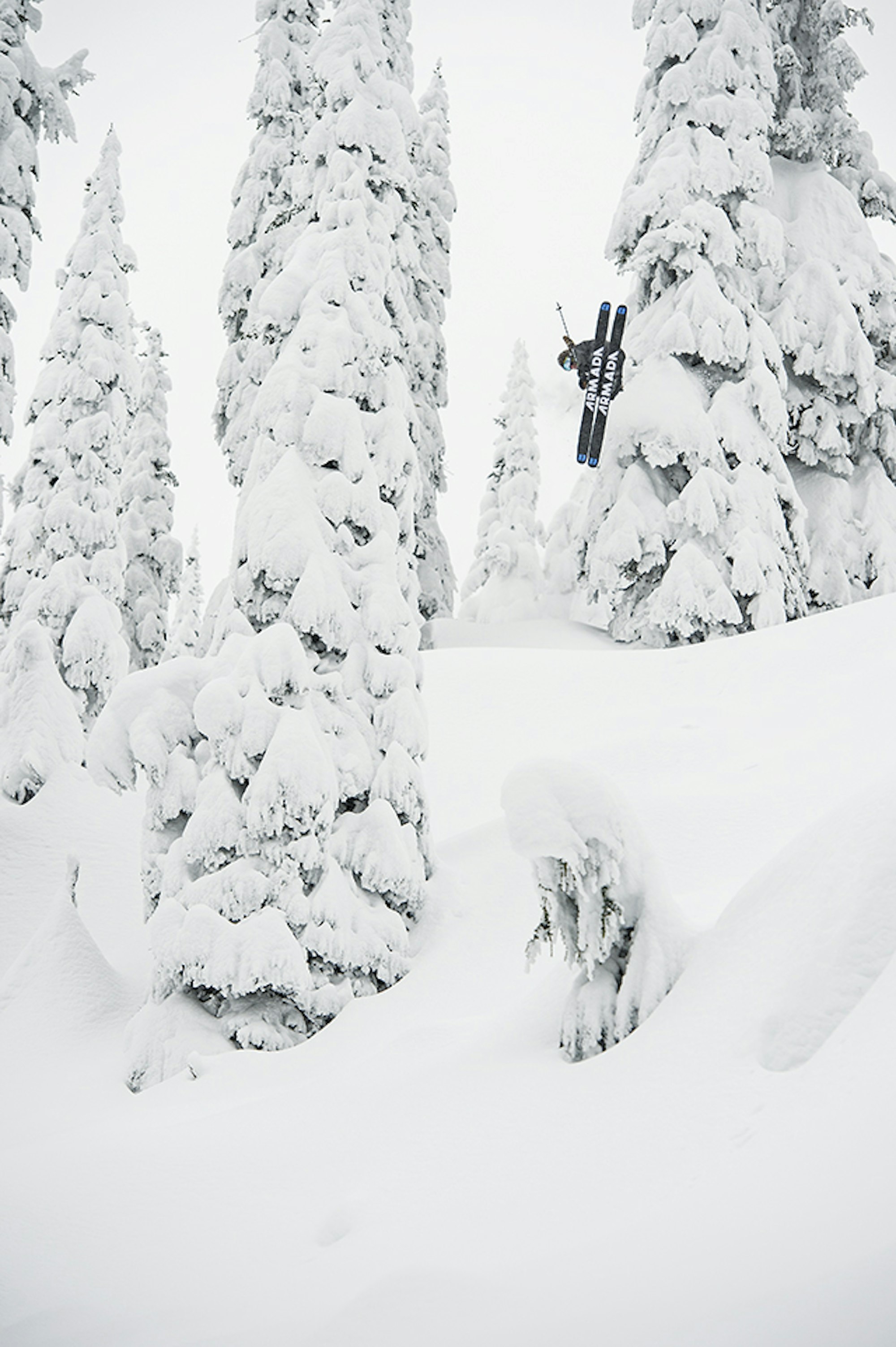 mustangpowder_x_danielronnback_224