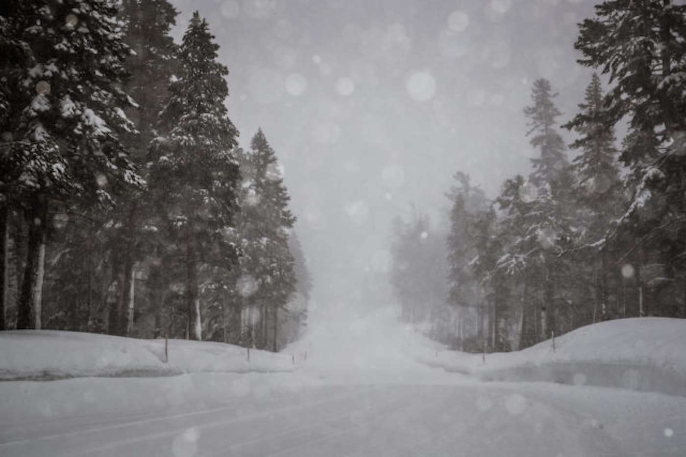 2017-01-09_new_snow_pmm_0457