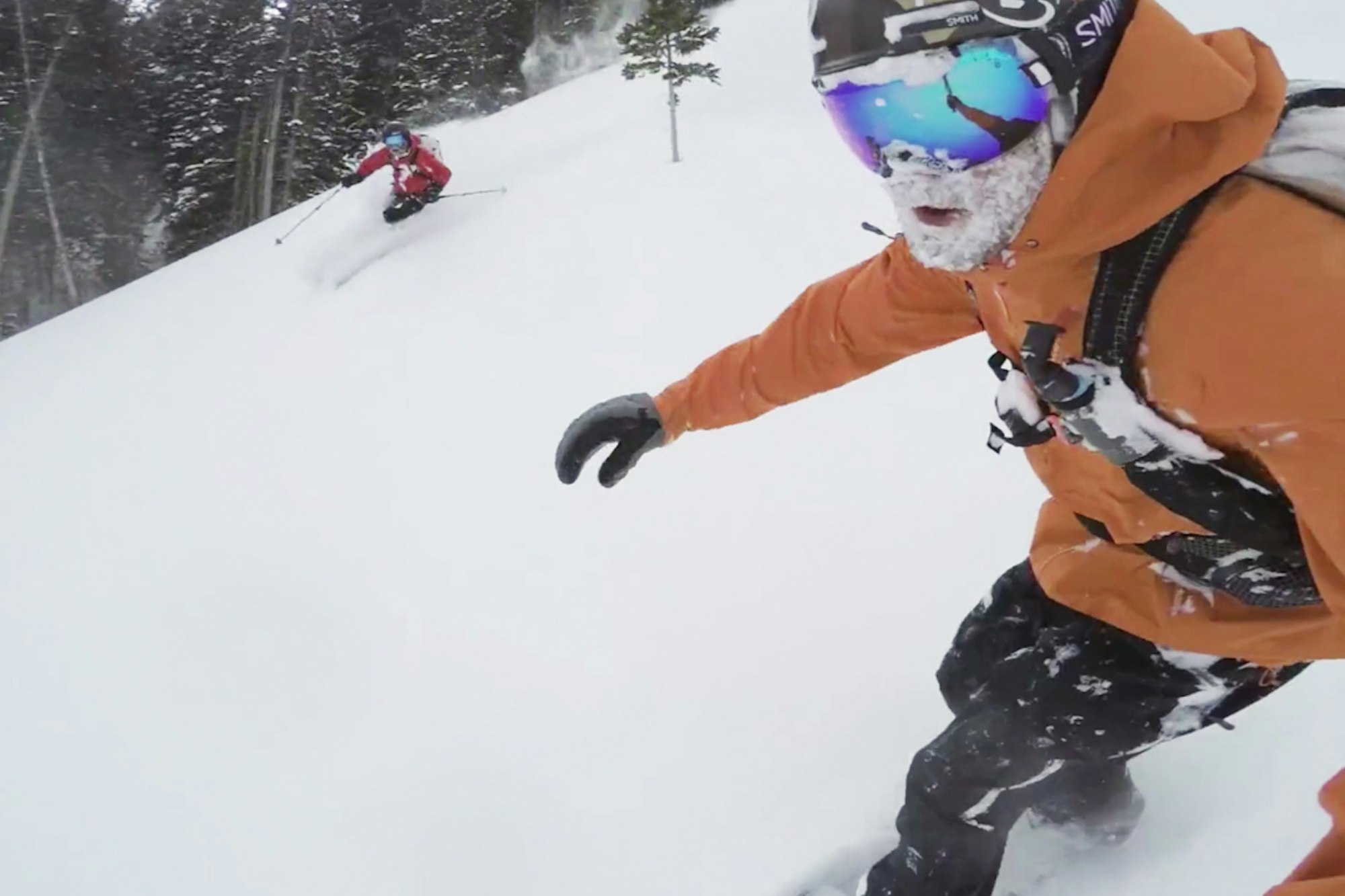 This video proves skiers and snowboarders should all get along