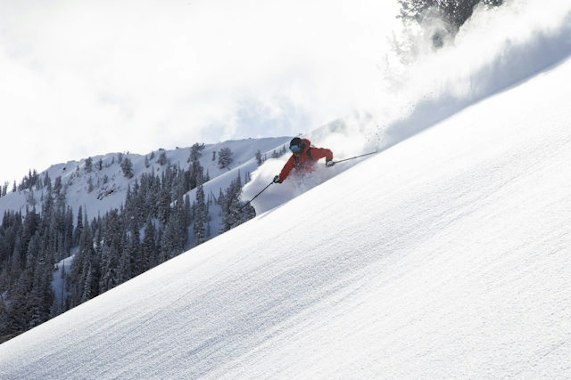 Pep Fujas, Wasatch Mountains, Utahphoto:Adam Clark
