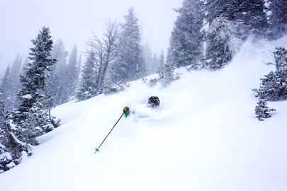 Photo and video: Jackson Hole's season is off to an excellent start
