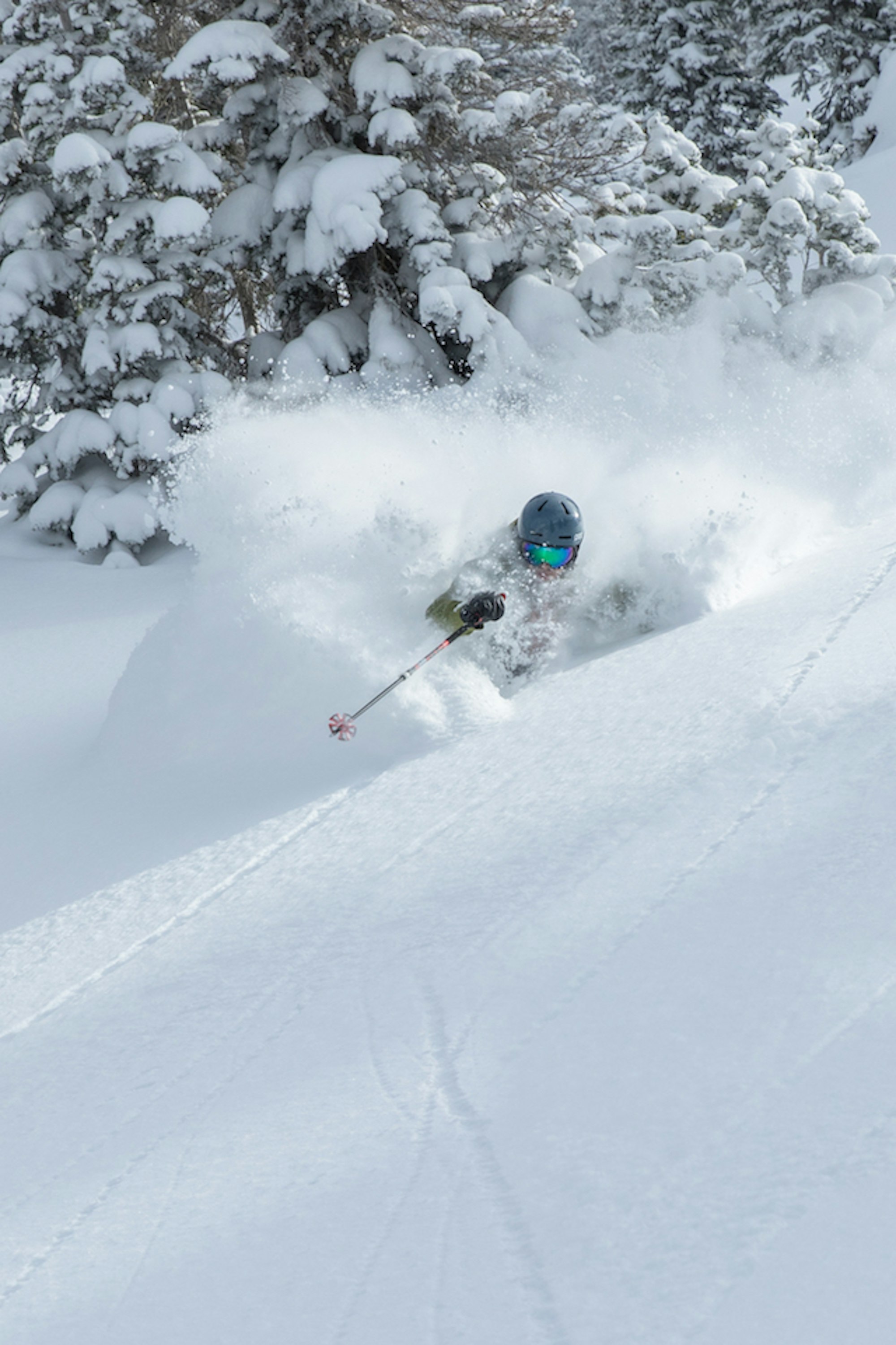 _d3a8726-edit_mattcrawley_1400x2100_300_rgb