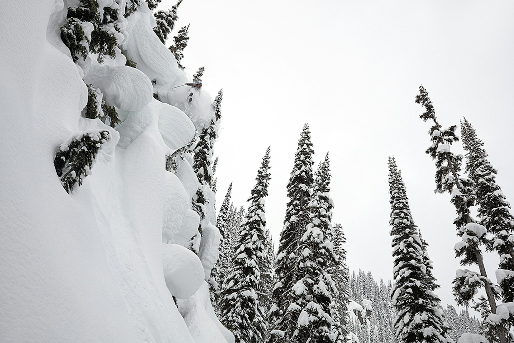 A Revelstoke Reunion