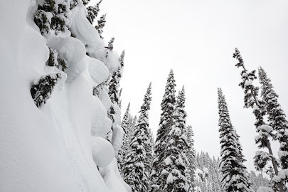 A Revelstoke Reunion