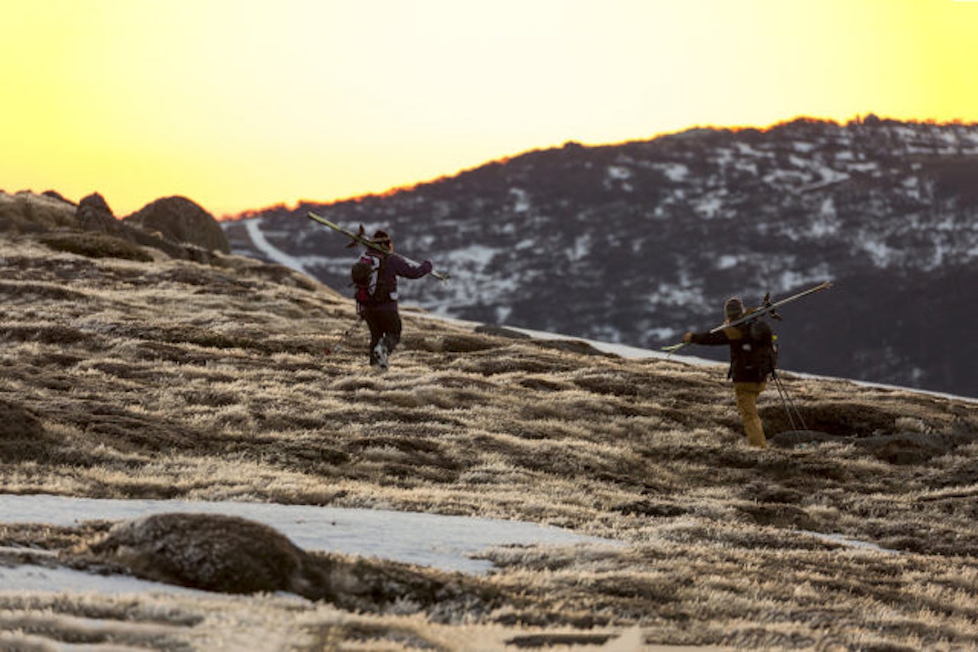 add720teddy_laycock_002