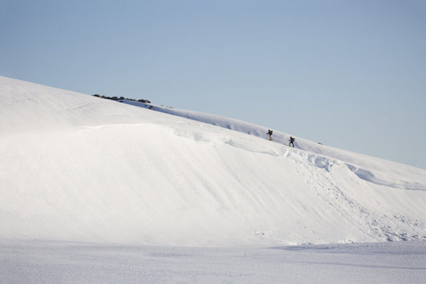 fill720teddy_laycock_005