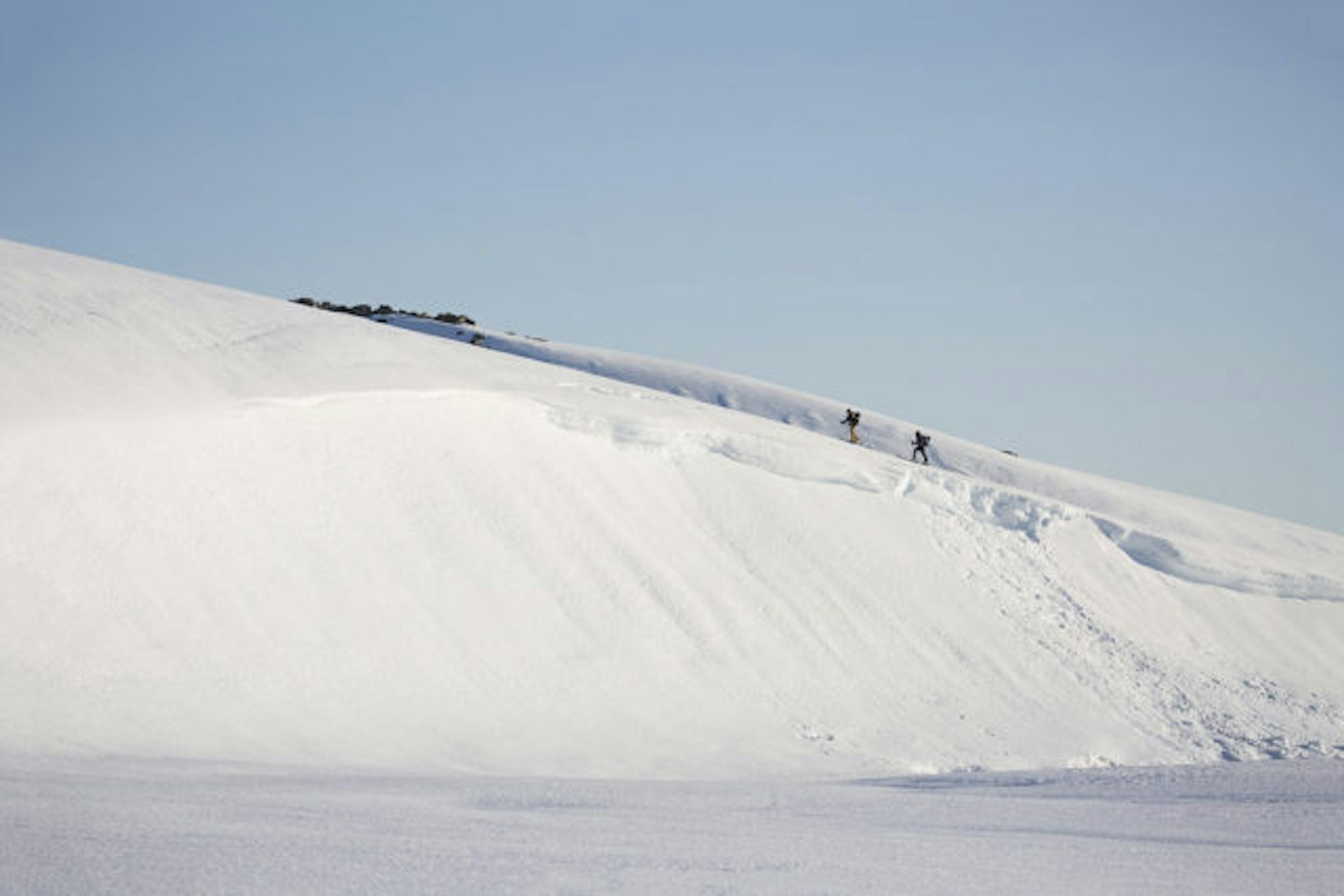 fill720teddy_laycock_005