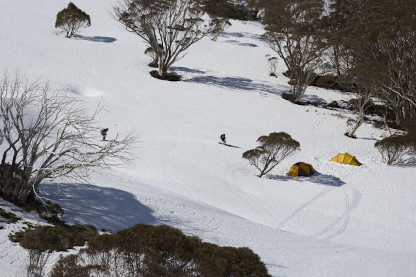 bright_720fill_teddy_laycock_007