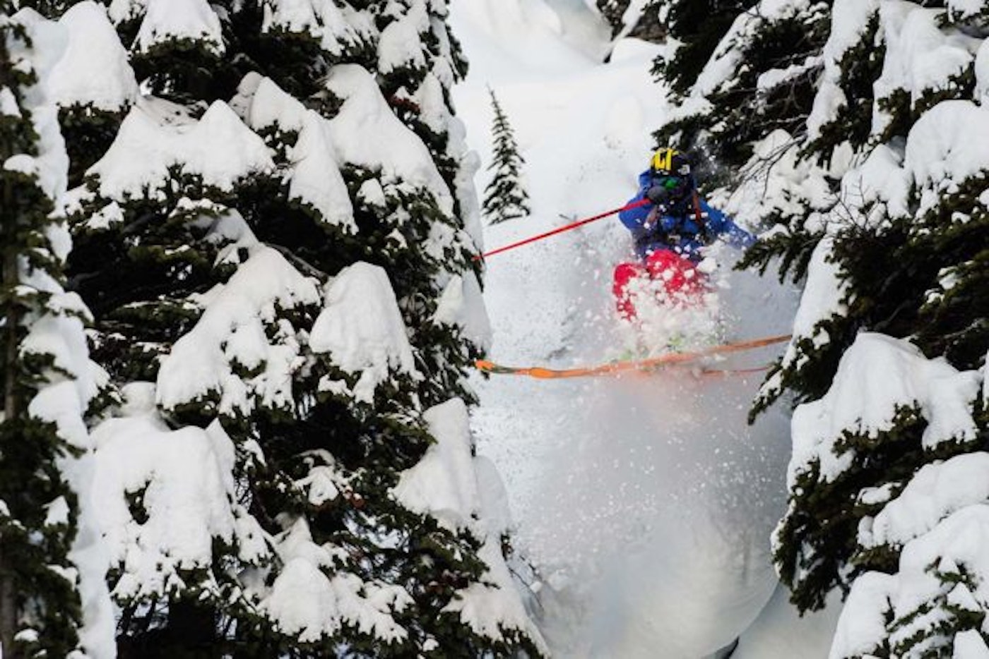 sow_canada_kuzm_brunolong_0061wp