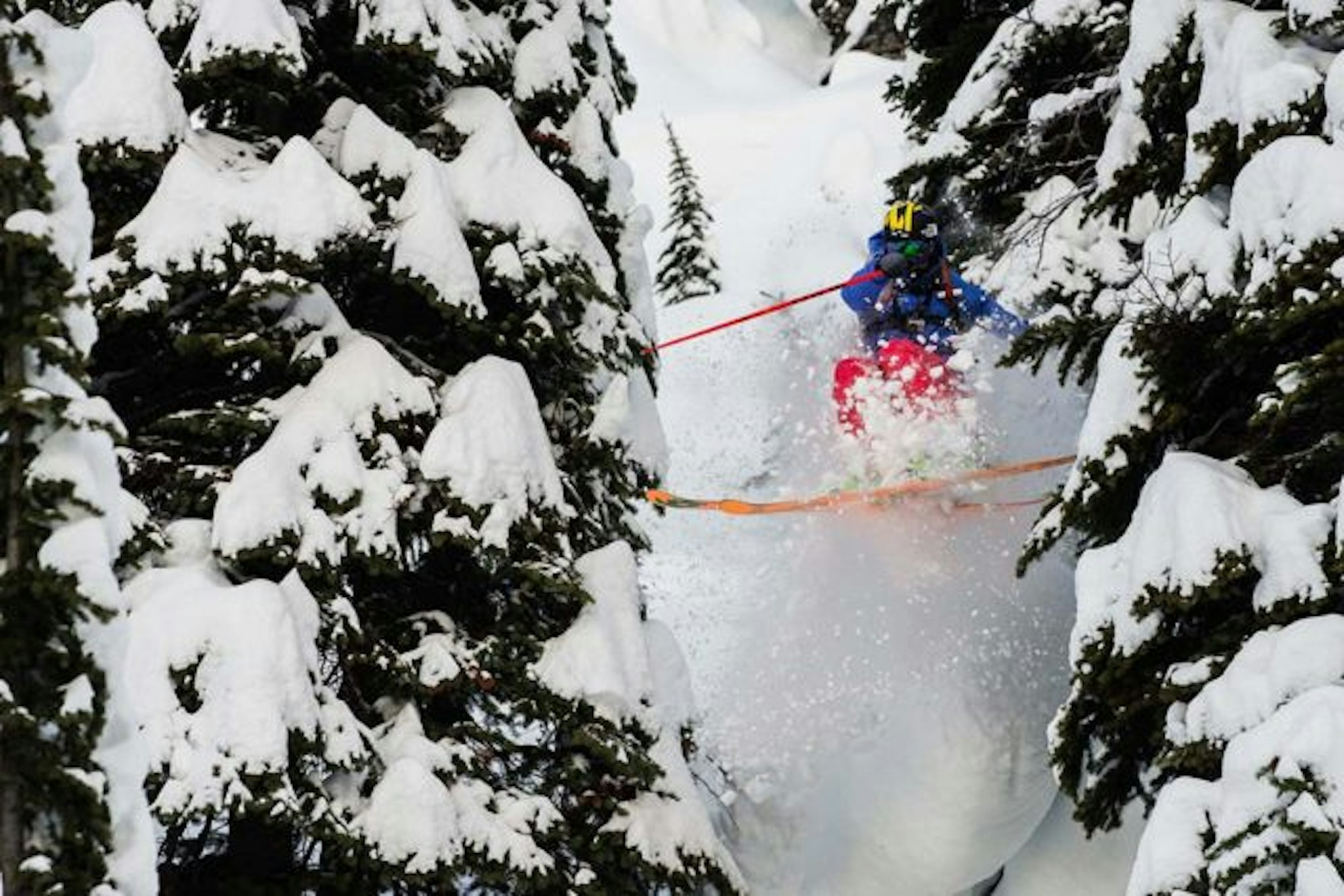 sow_canada_kuzm_brunolong_0061wp