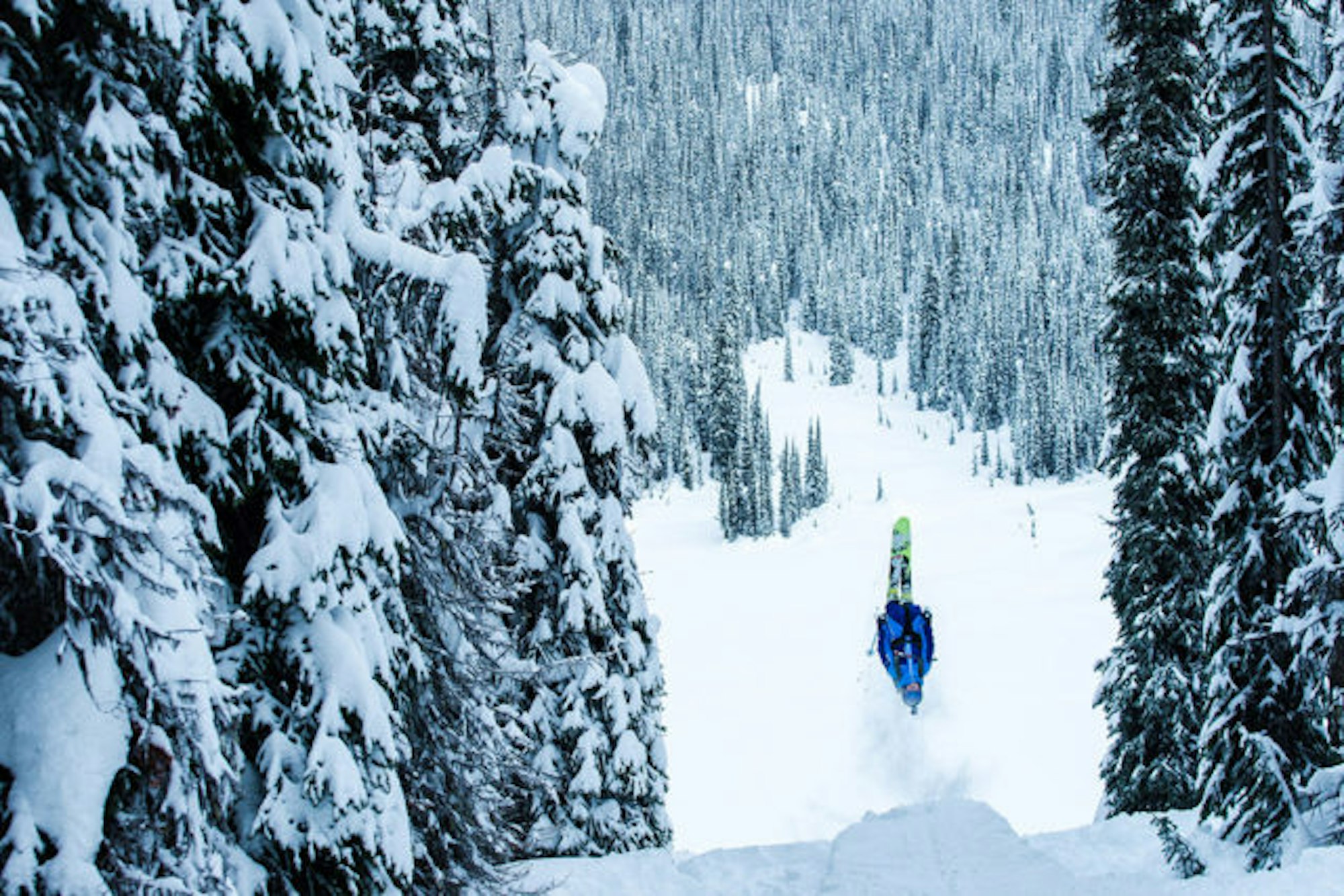 sow_canada_lahn_brunolong_0039wp