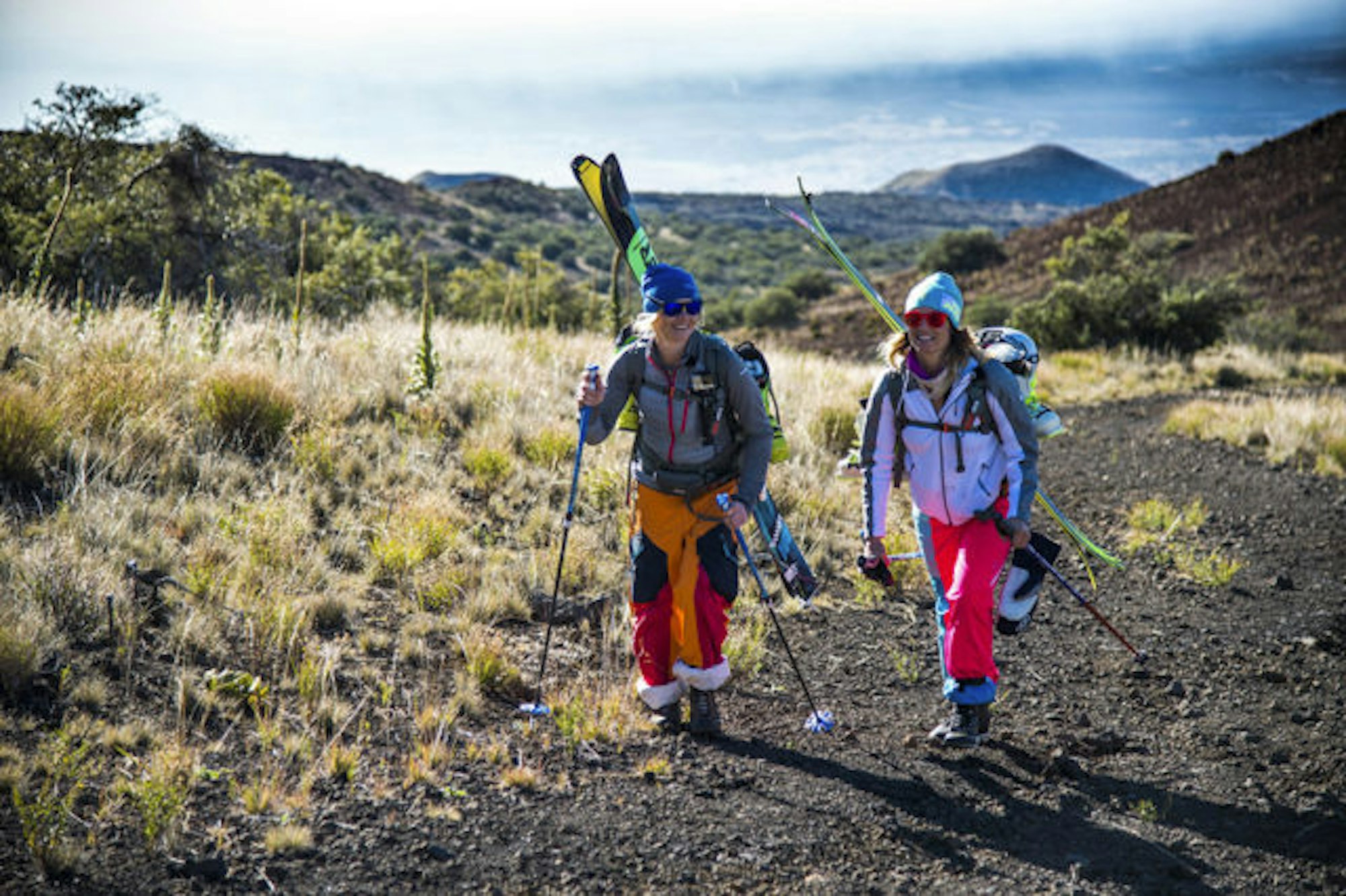 sow_hawaii_lahn_manc_leonardodale_0010wp