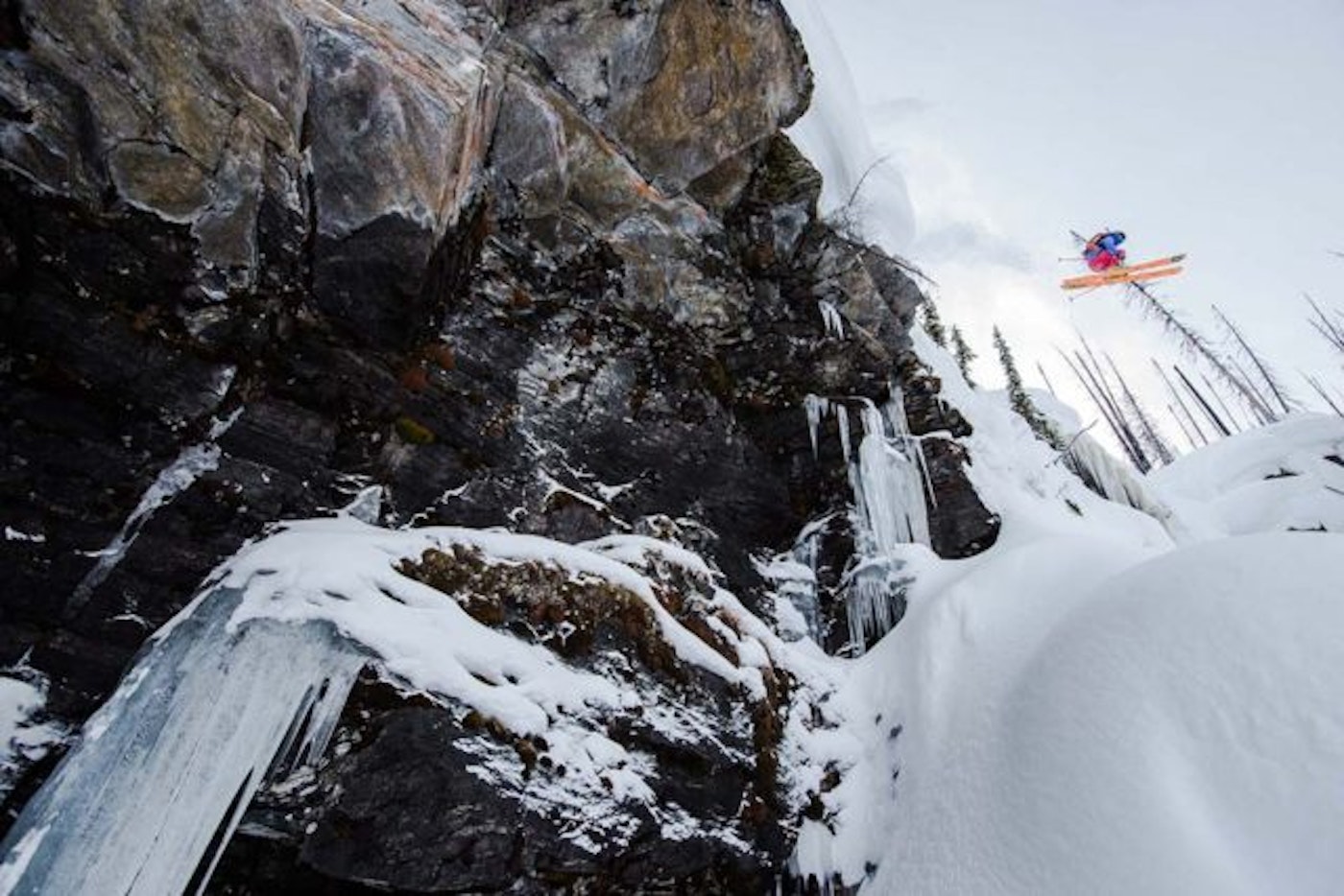 sow_canada_kuzm_brunolong_0060wp