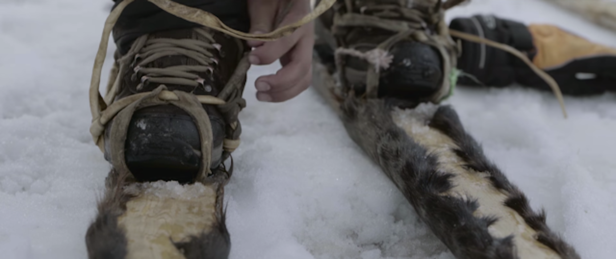 screen-shot-2016-10-21-at-2-56-49-pm