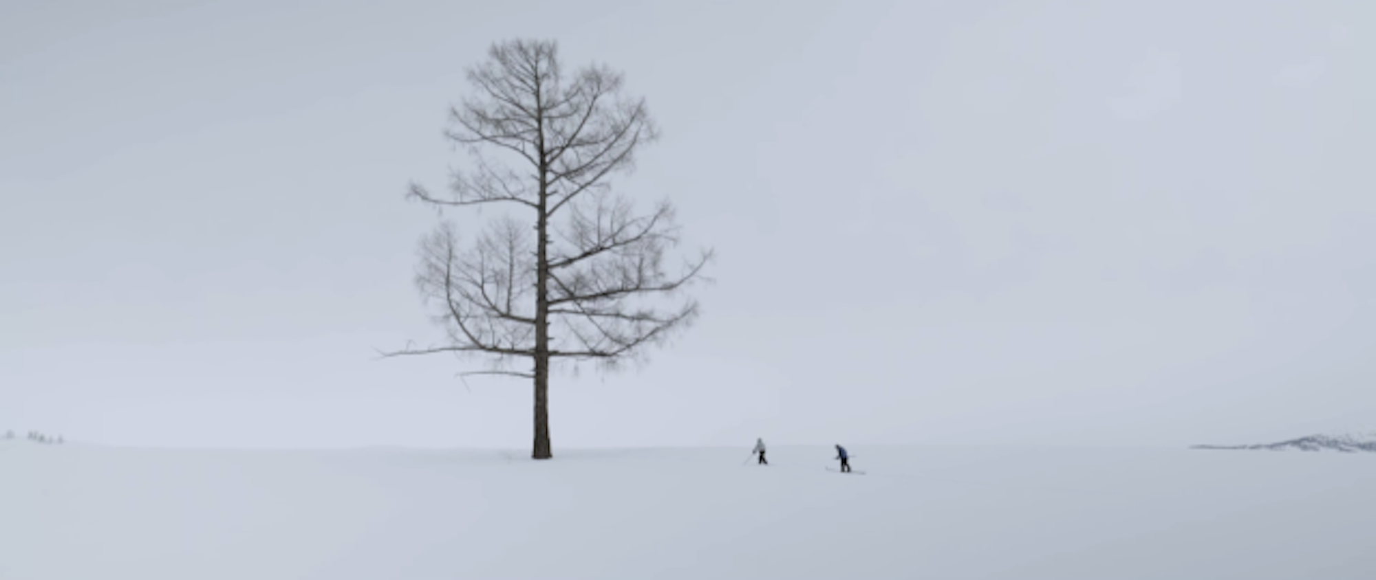 screen-shot-2016-10-21-at-2-57-07-pm