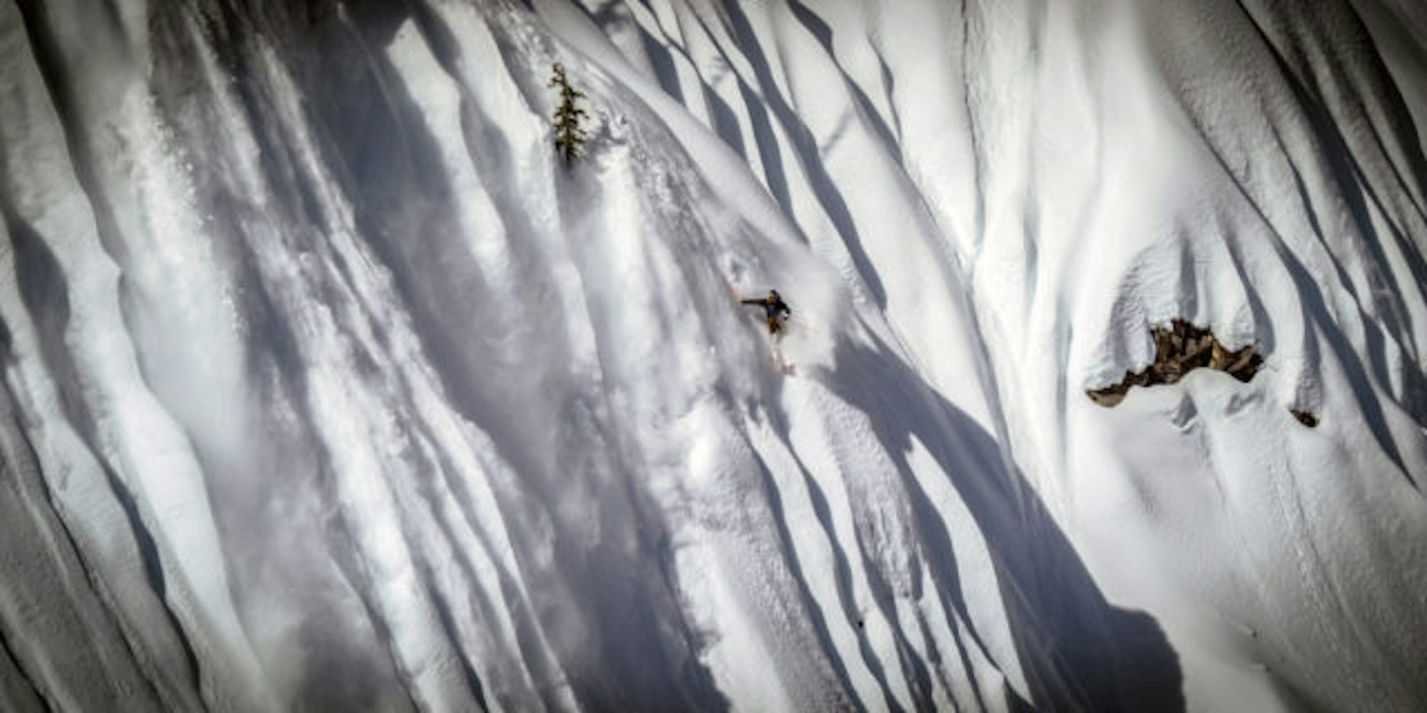 mspfilms_selkirk_2016-03-2