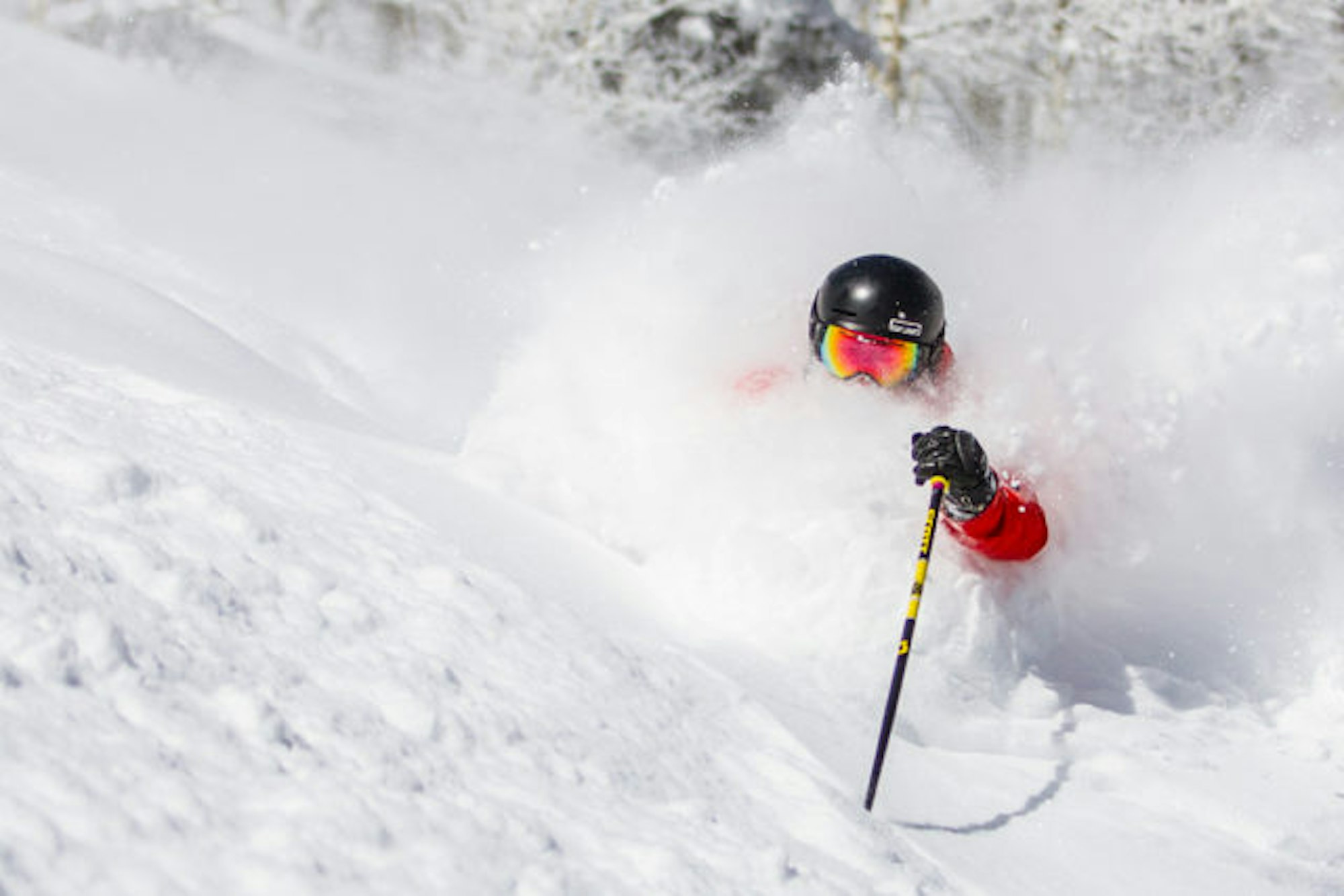 pow-day-coming-freeskier