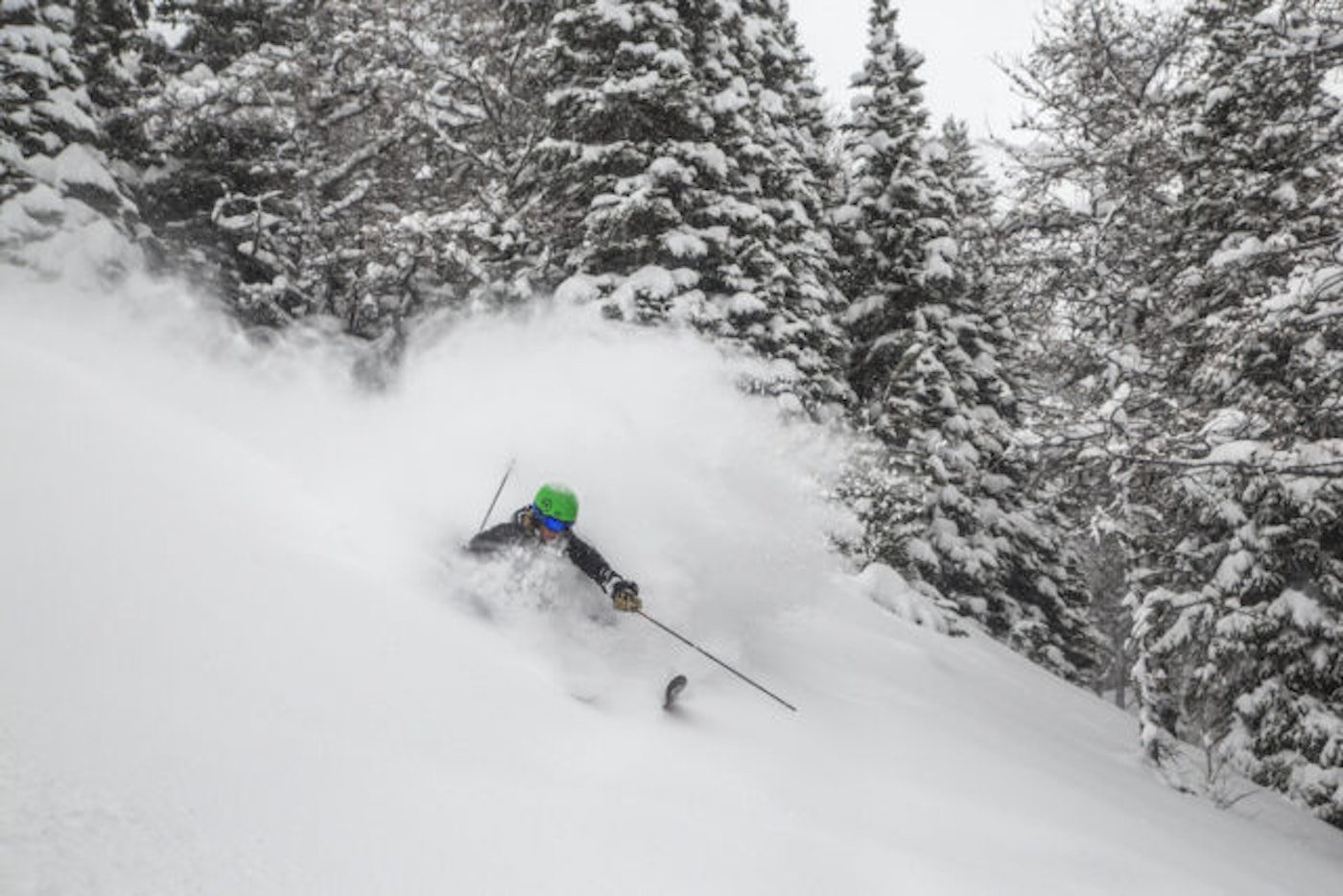 201516_danevans_llsr_selects_002