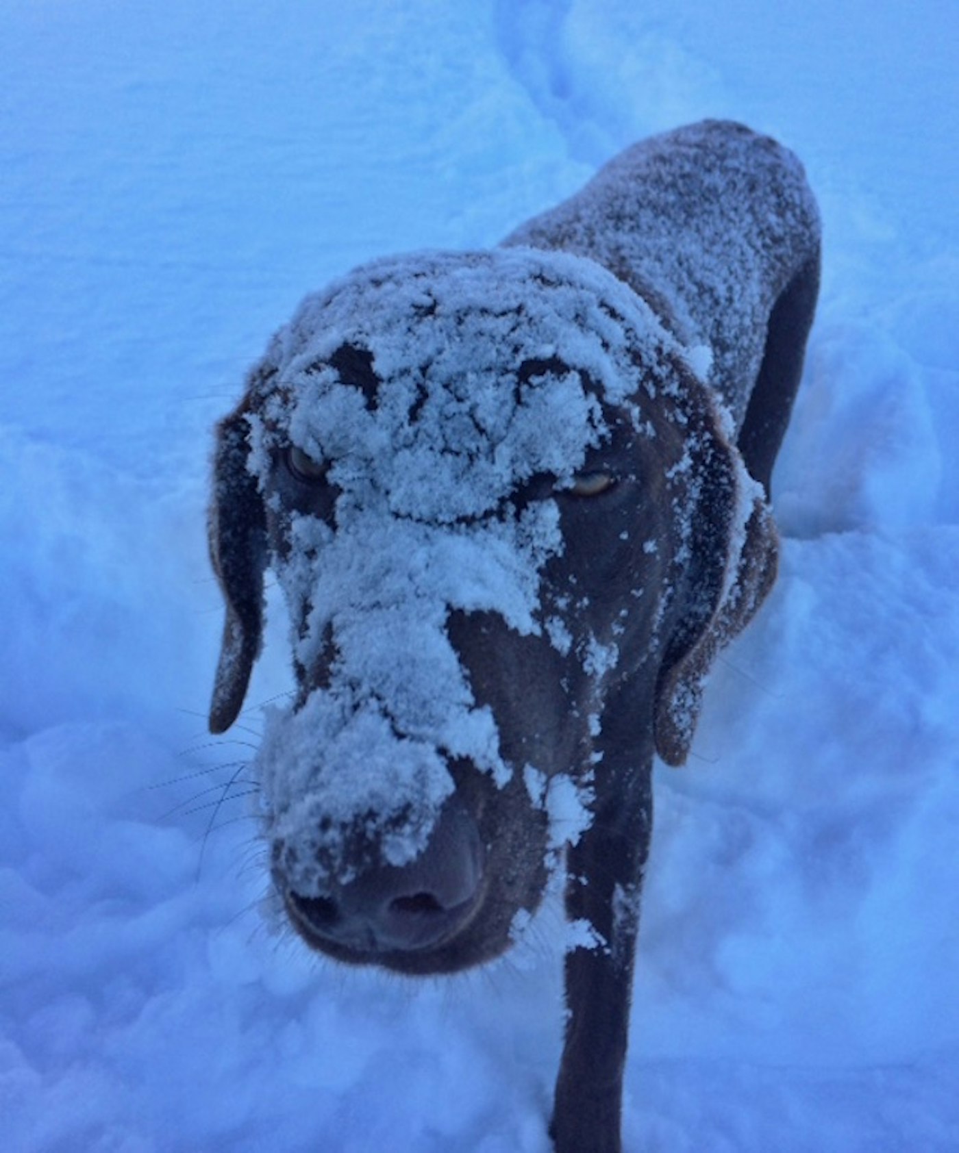 9e28d945-2d37-437f-b972-889fa71ab41b