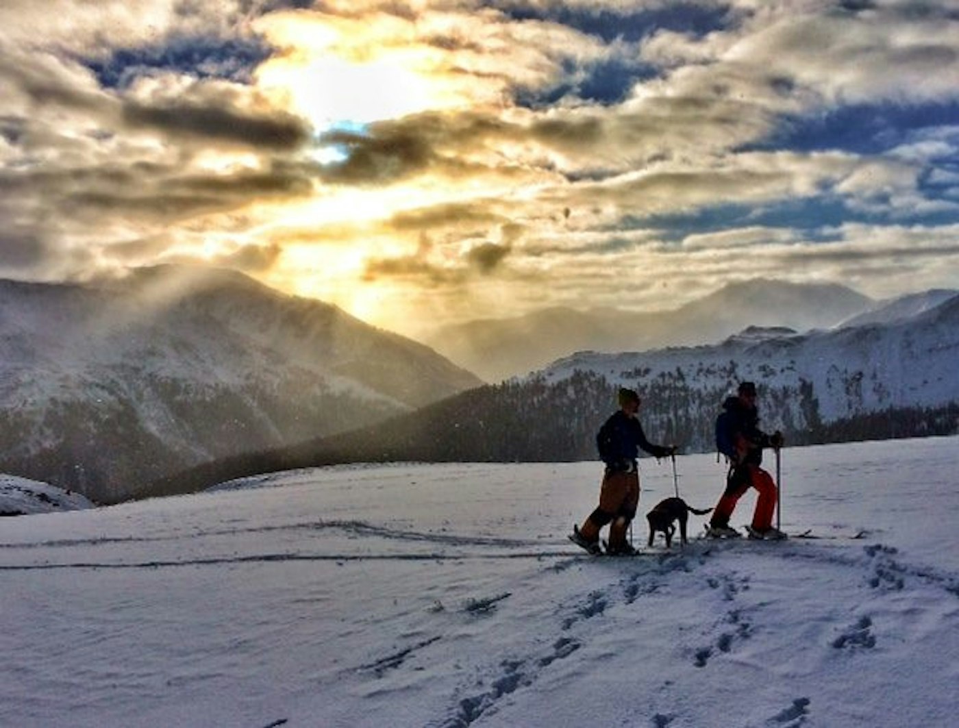 d6f662a6-d670-455c-9655-f7664386abdd