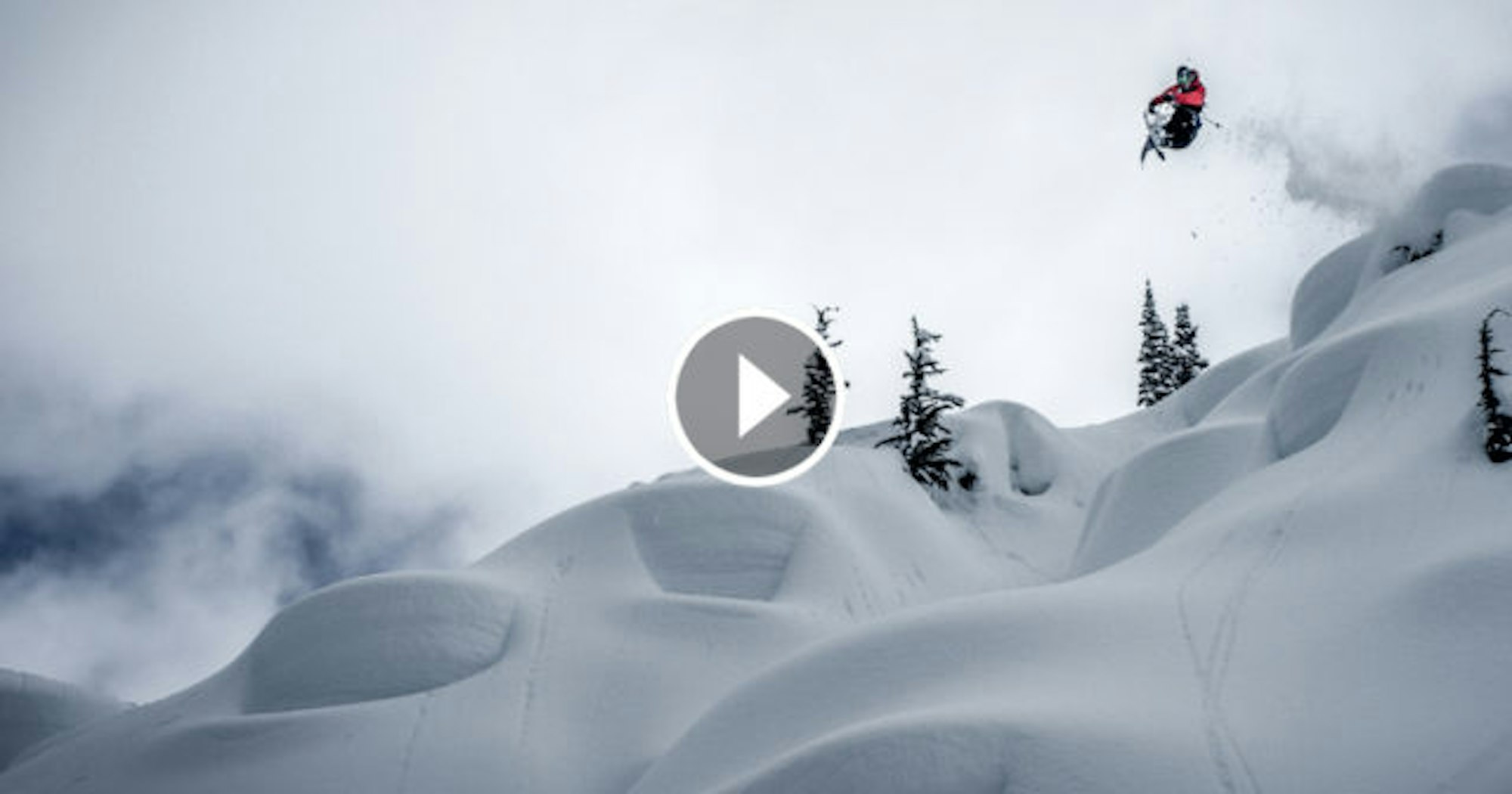 MSP_RuinAndRose_Social