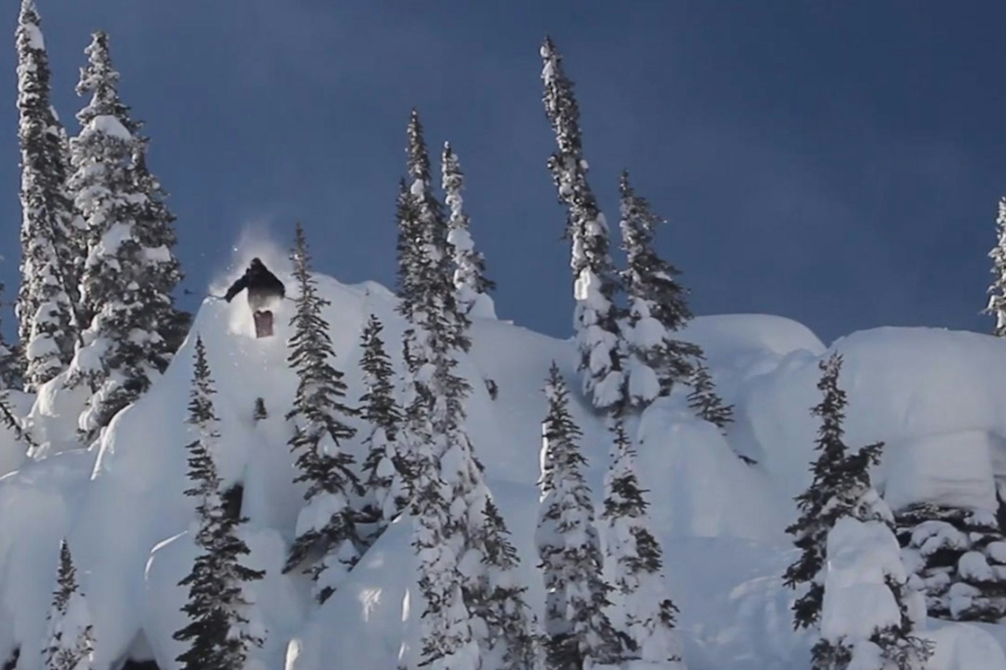 This guy saw more pillows than the tooth fairy in B.C. last season